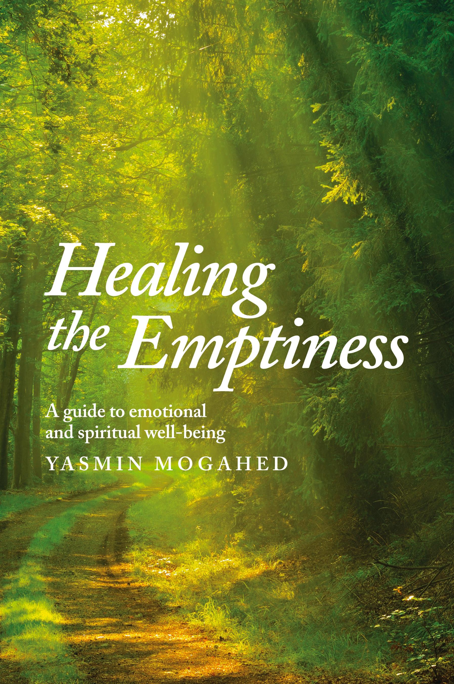Vorderes Coverbild Healing the Emptiness