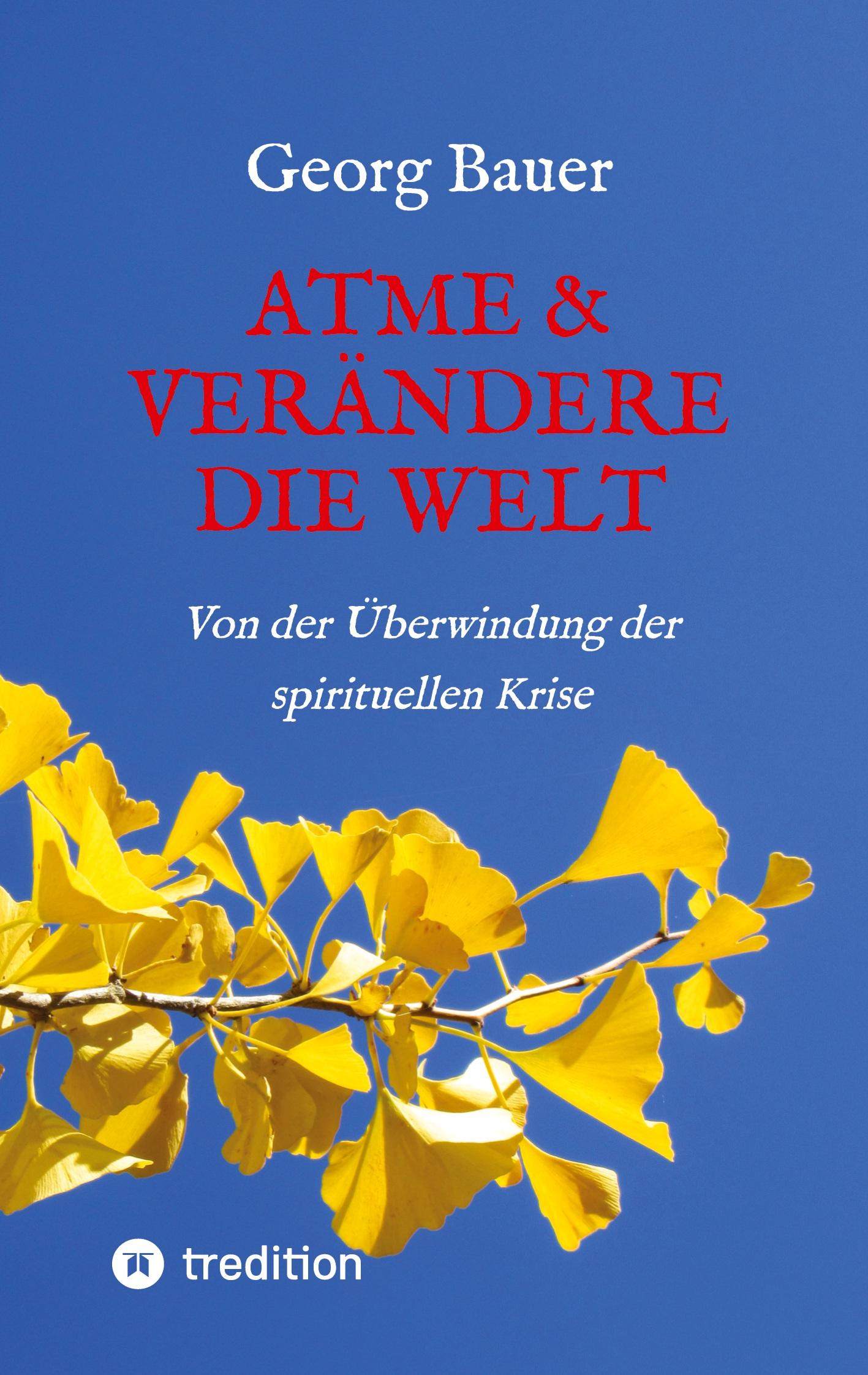 Vorderes Coverbild Atme & verändere die Welt