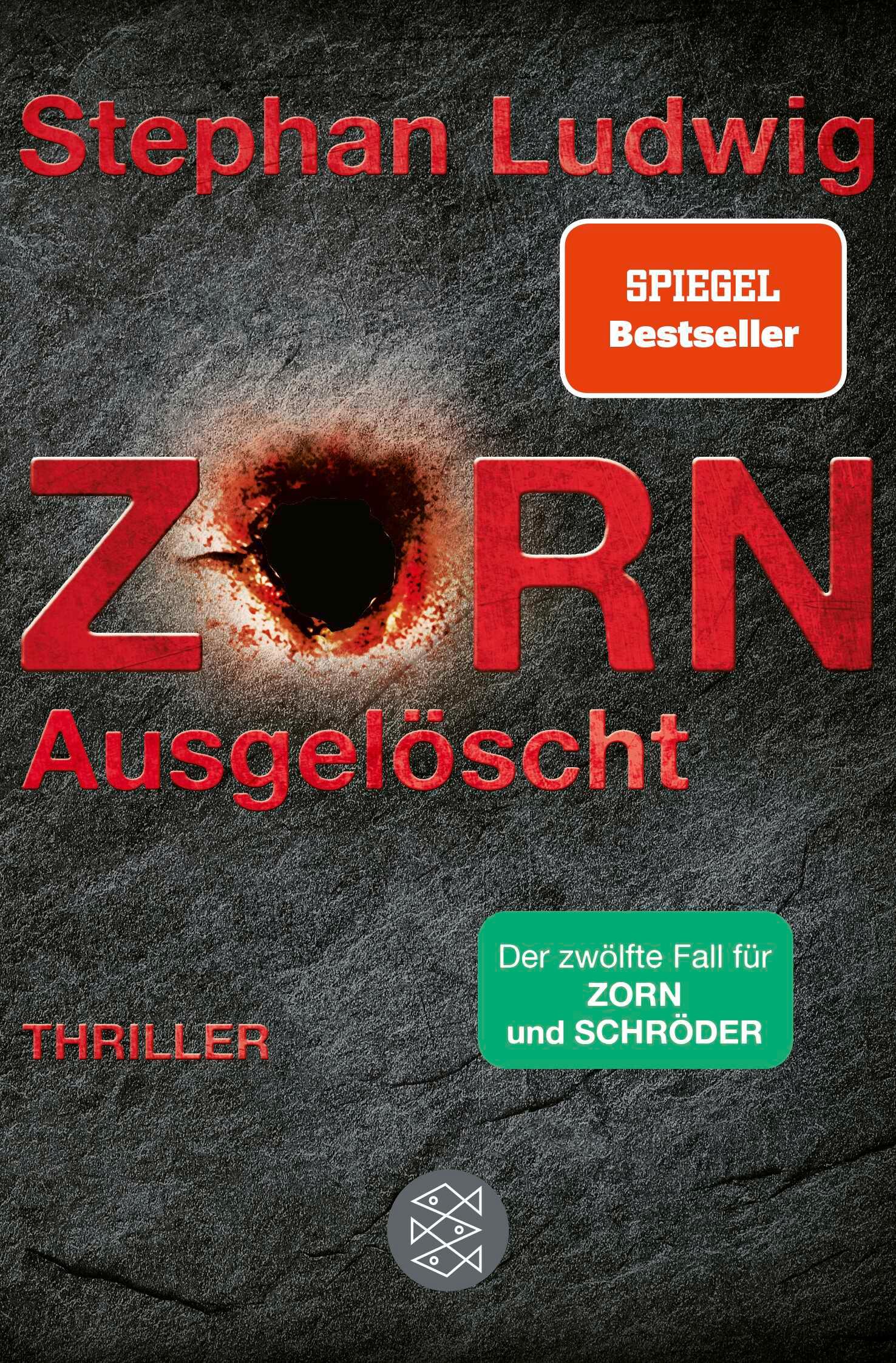 Vorderes Coverbild Zorn - Ausgelöscht