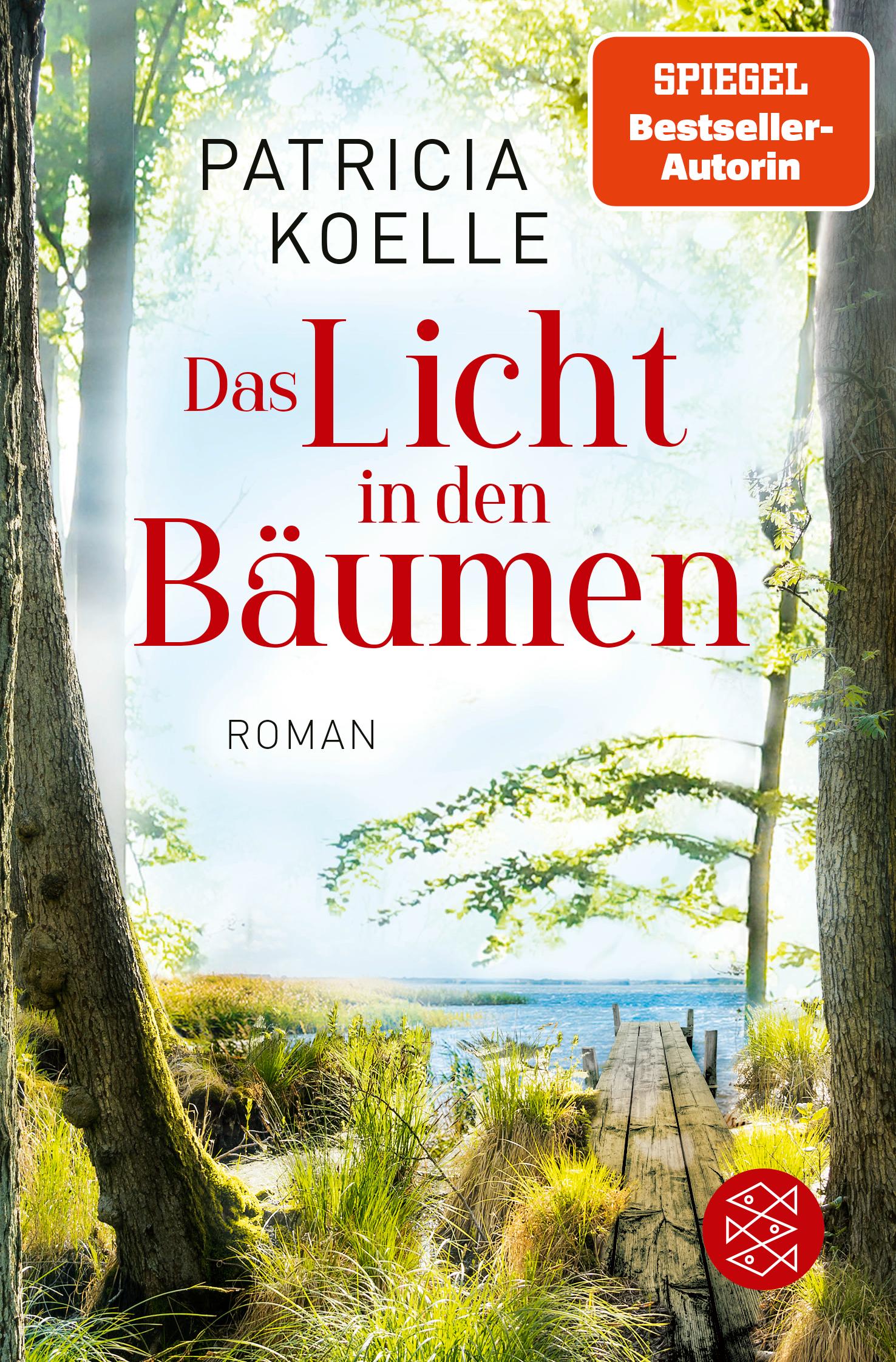 Beispielinhalt (Bild) Das Licht in den Bäumen