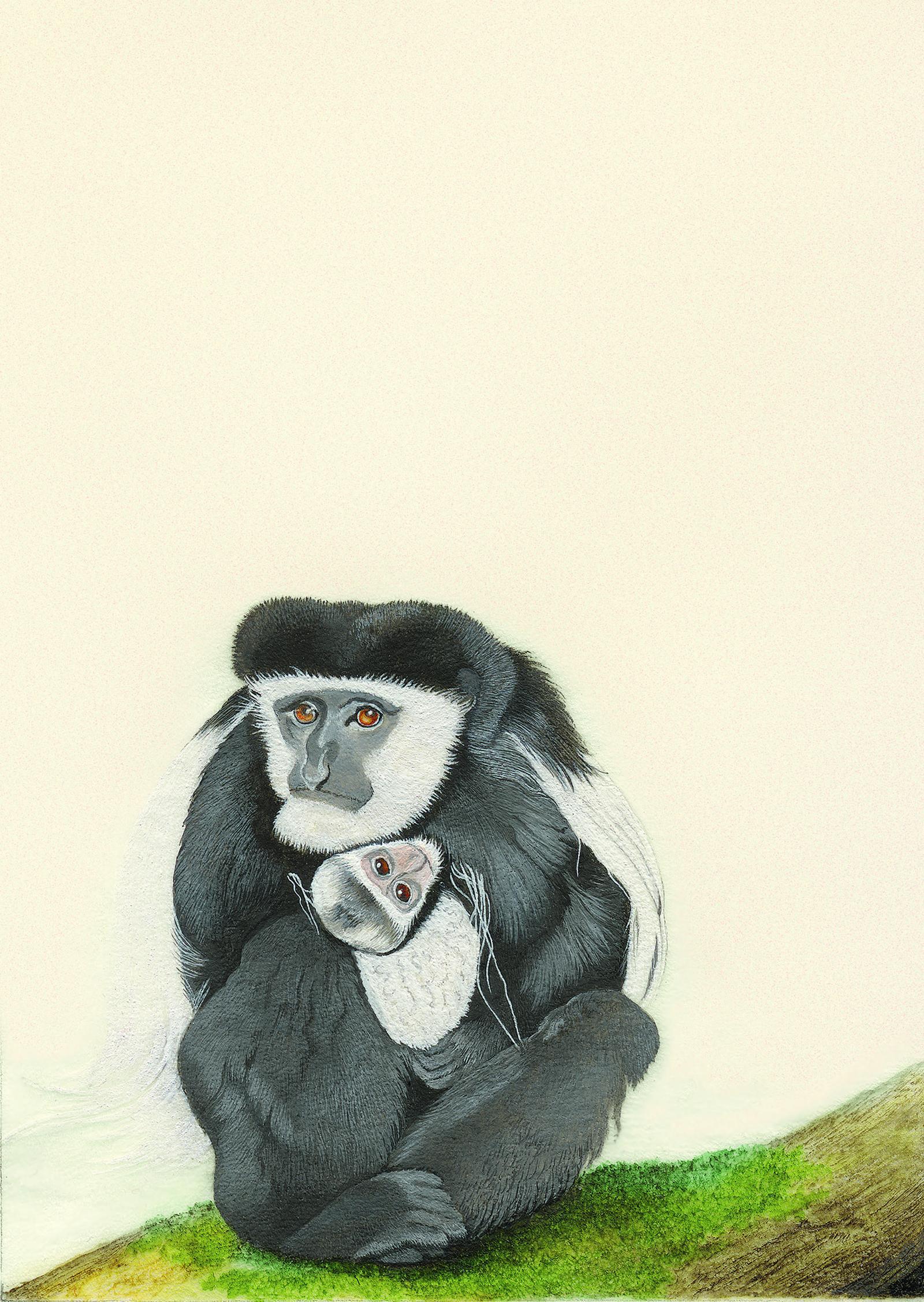 Beispielinhalt (Bild) Affentheater