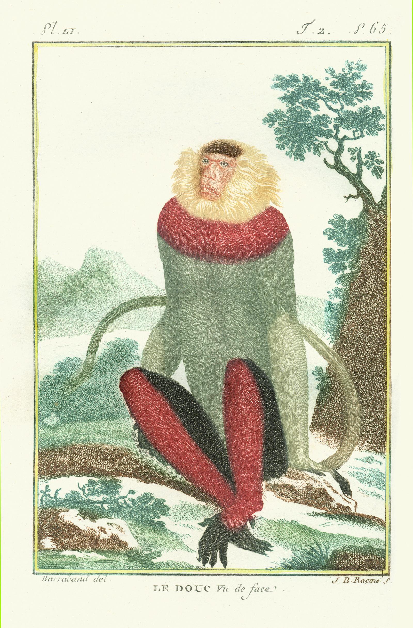 Beispielinhalt (Bild) Affentheater