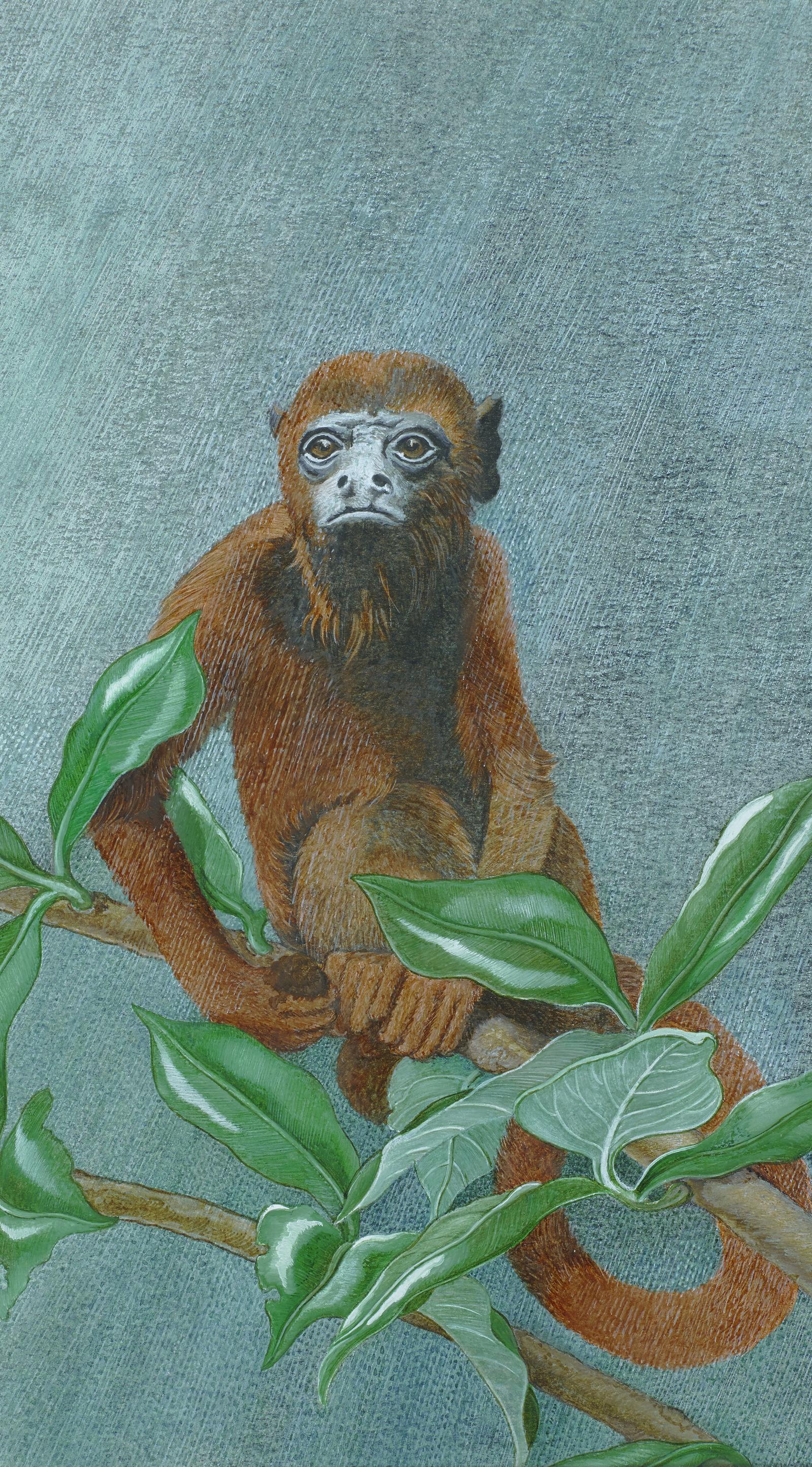 Beispielinhalt (Bild) Affentheater