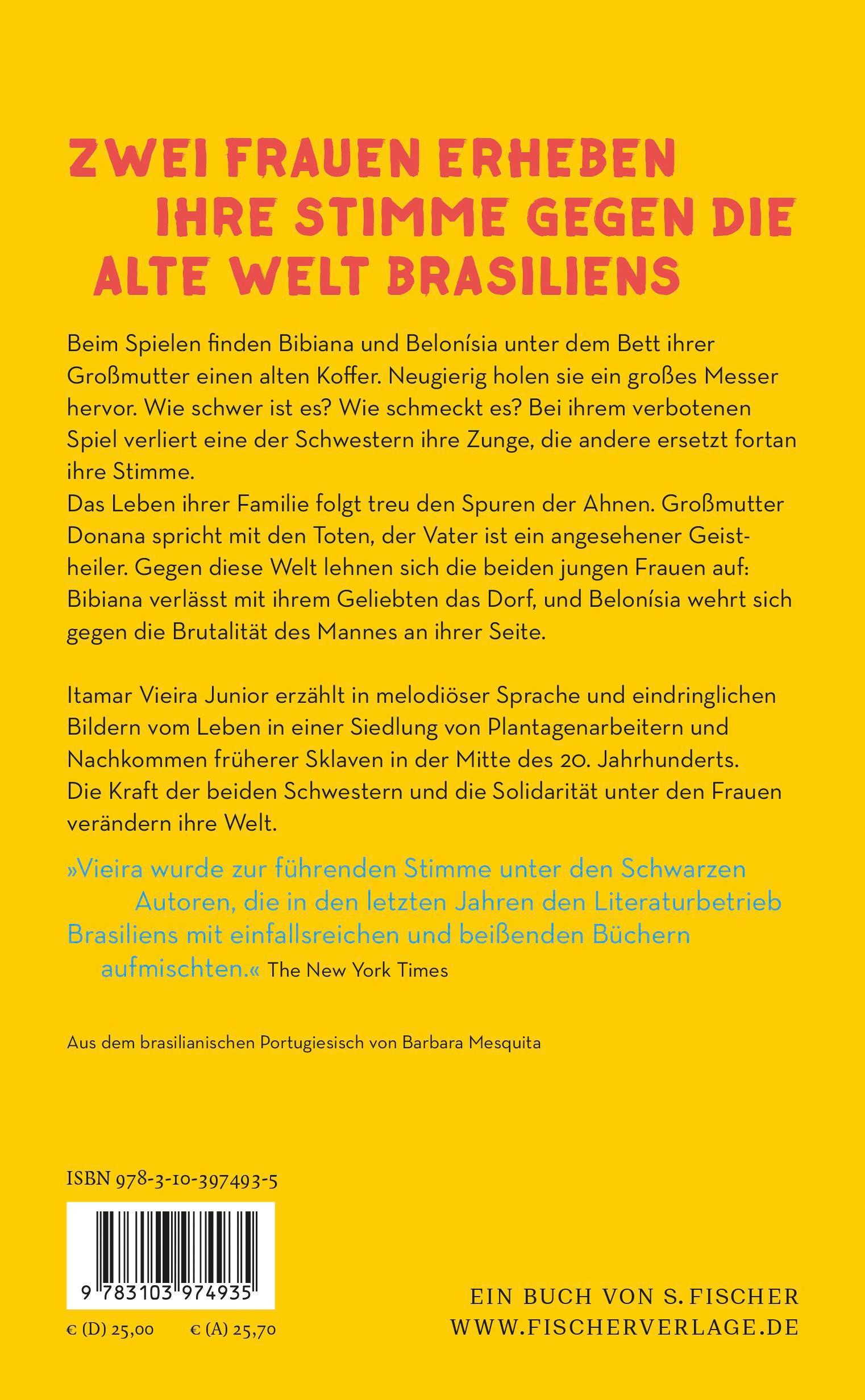 Rückseitencover Die Stimme meiner Schwester