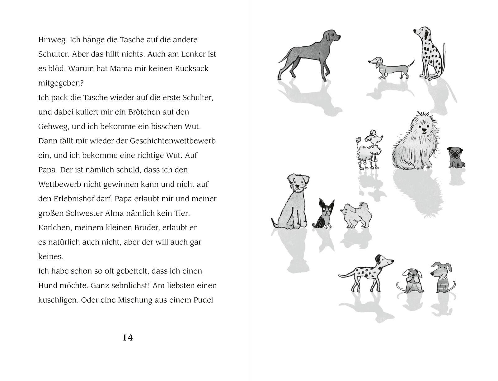 Beispielinhalt (Bild) Lisis Wirbelwindtage