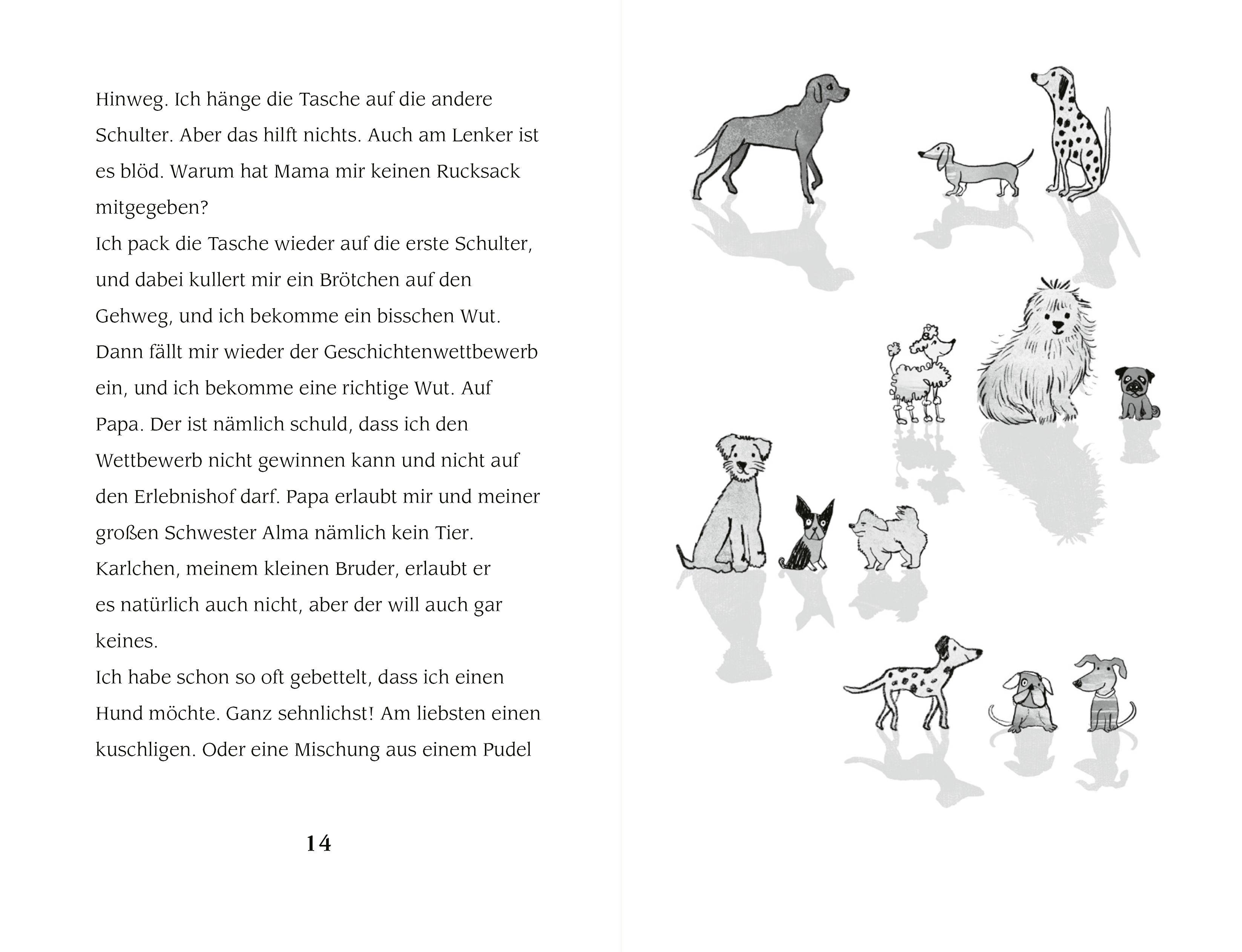 Beispielinhalt (Bild) Lisis Wirbelwindtage