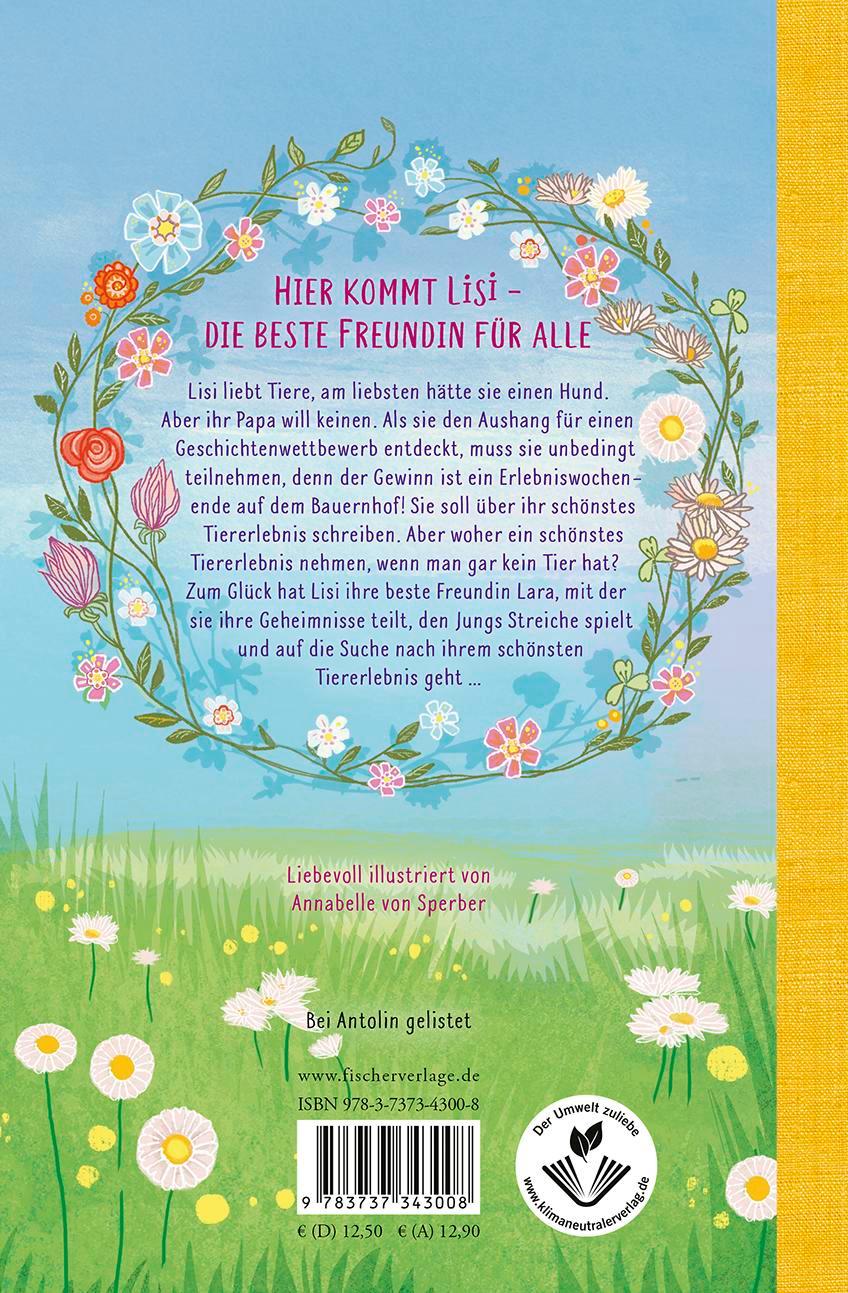 Rückseitencover Lisis Wirbelwindtage