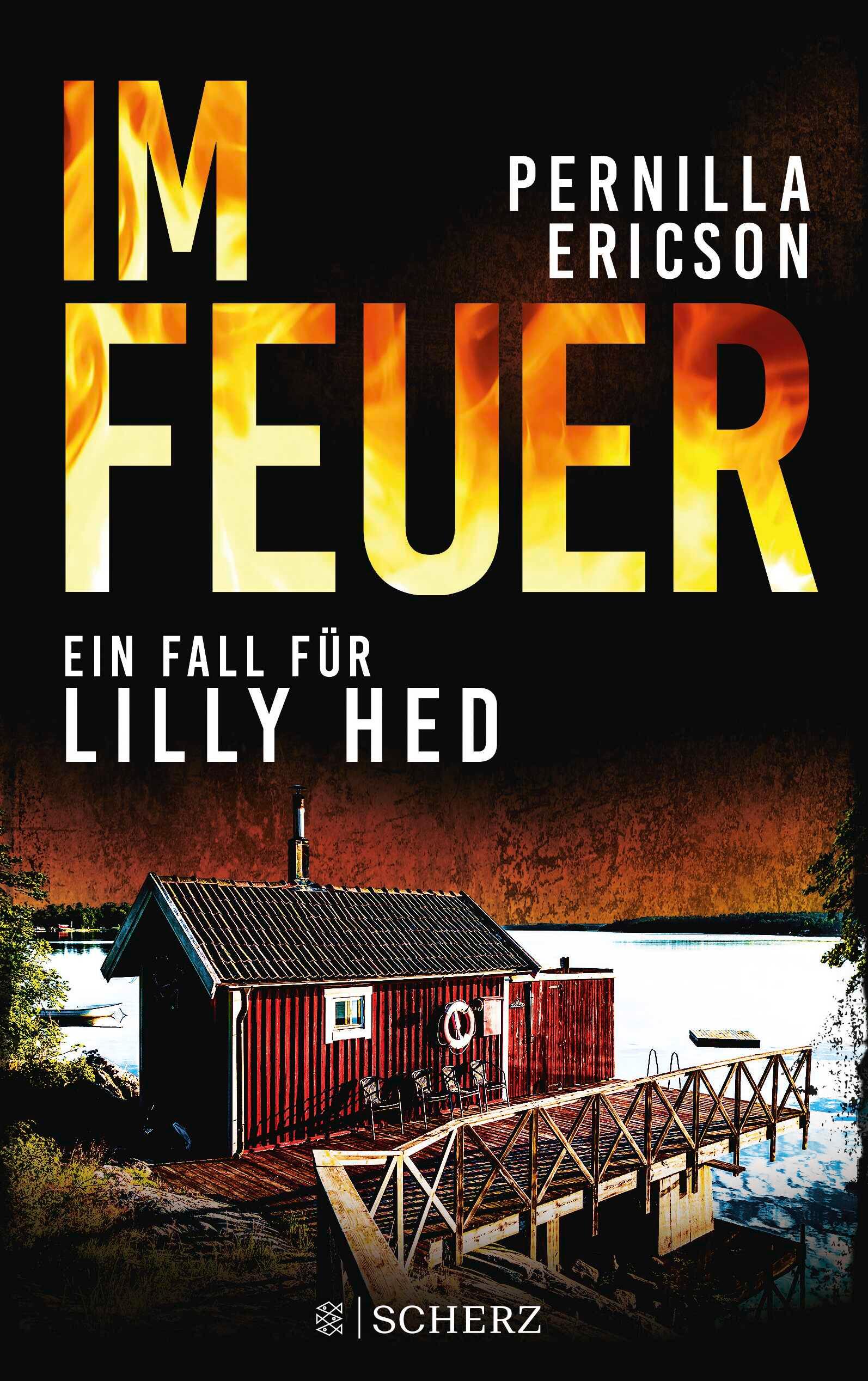 Vorderes Coverbild Im Feuer