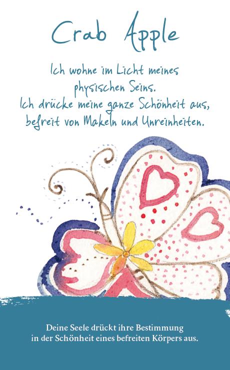 Beispielinhalt (Bild) Die Bachblüten Karten