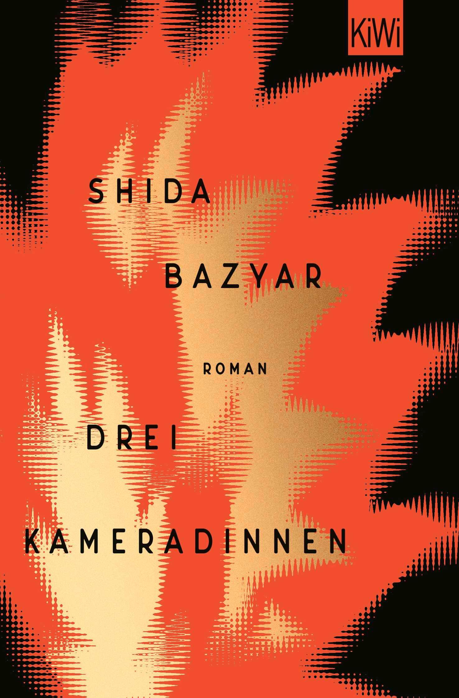Vorderes Coverbild Drei Kameradinnen