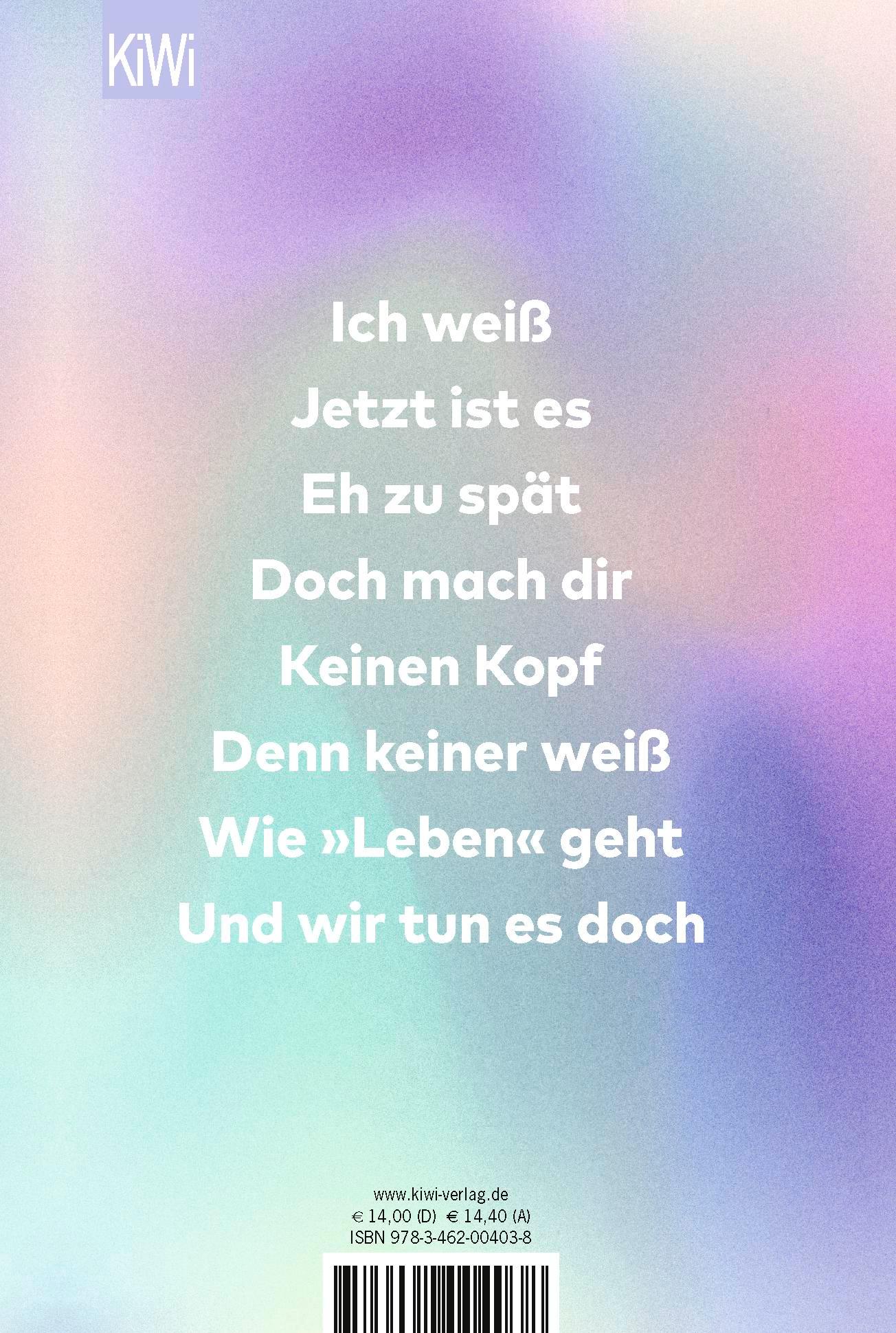 Rückseitencover Liebe in Zeiten der Follower
