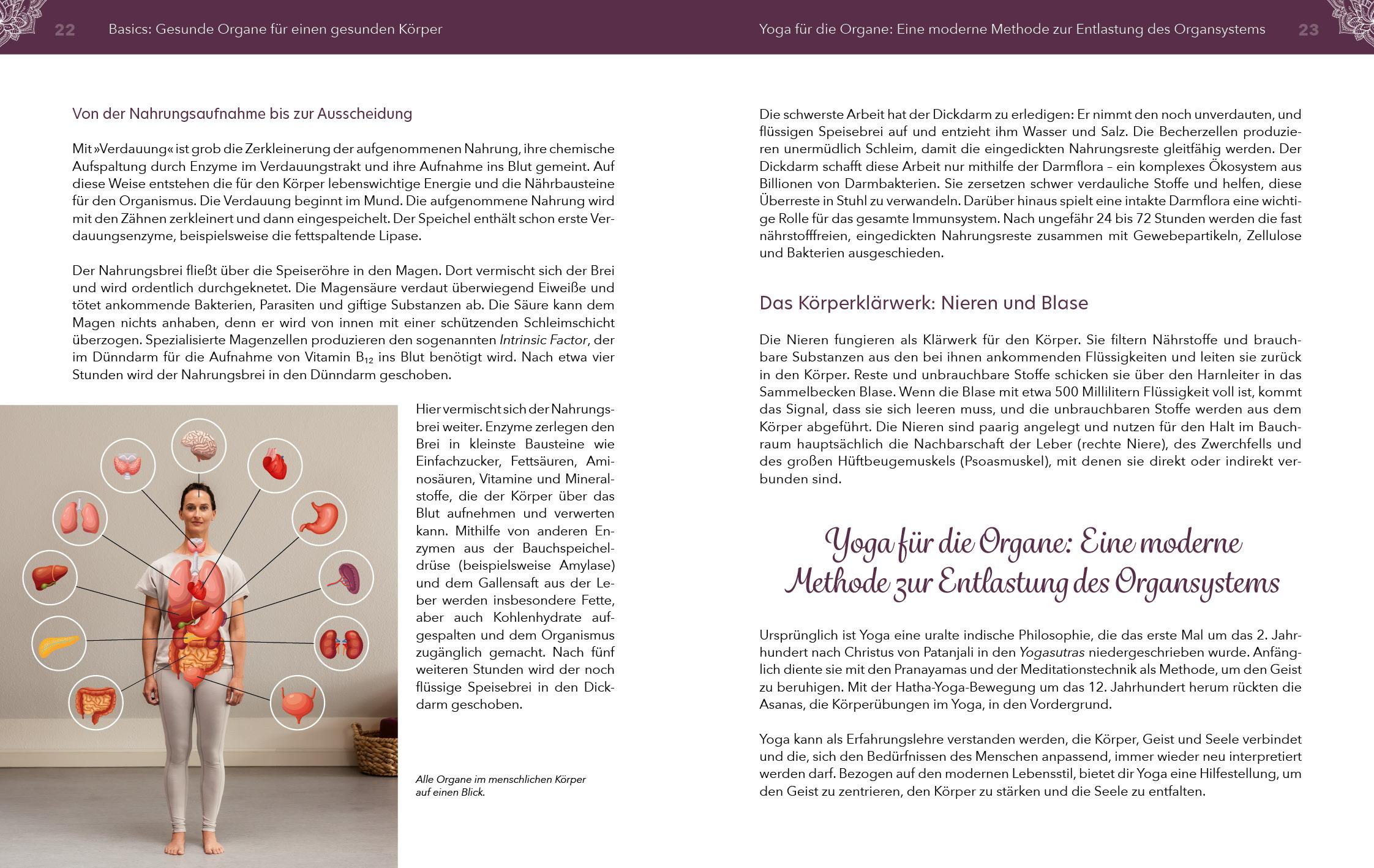 Beispielinhalt (Bild) Yoga für die Organe