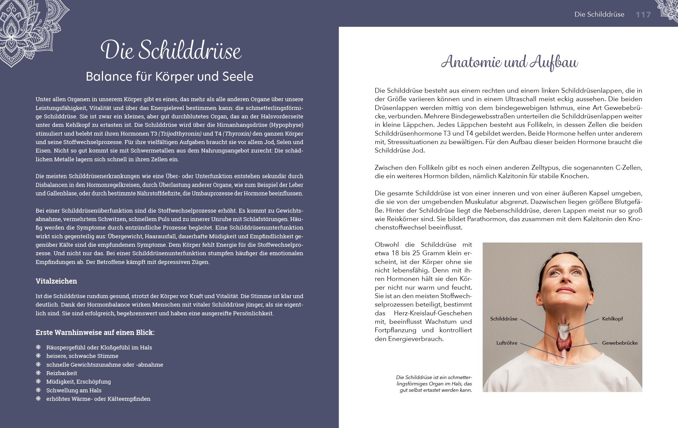 Beispielinhalt (Bild) Yoga für die Organe