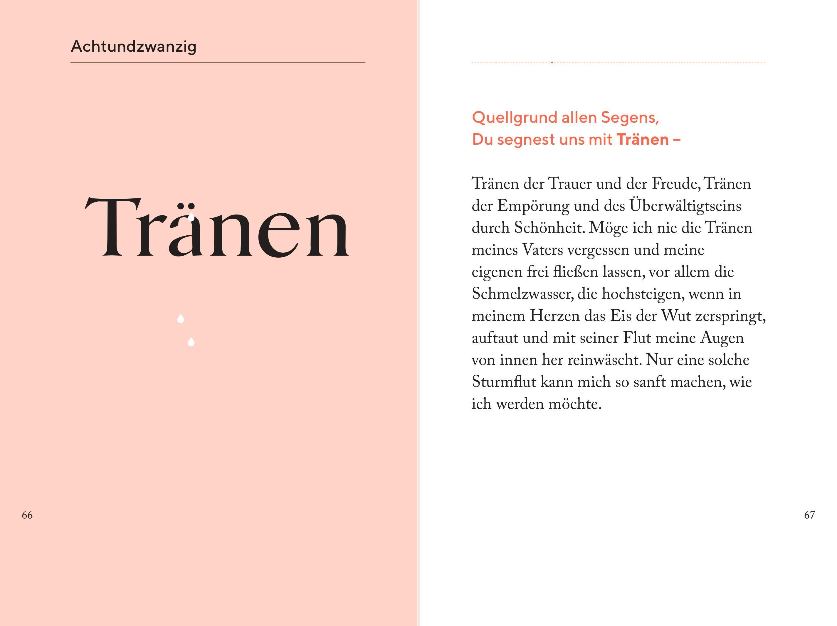 Beispielinhalt (Bild) Die Kraft des Staunens