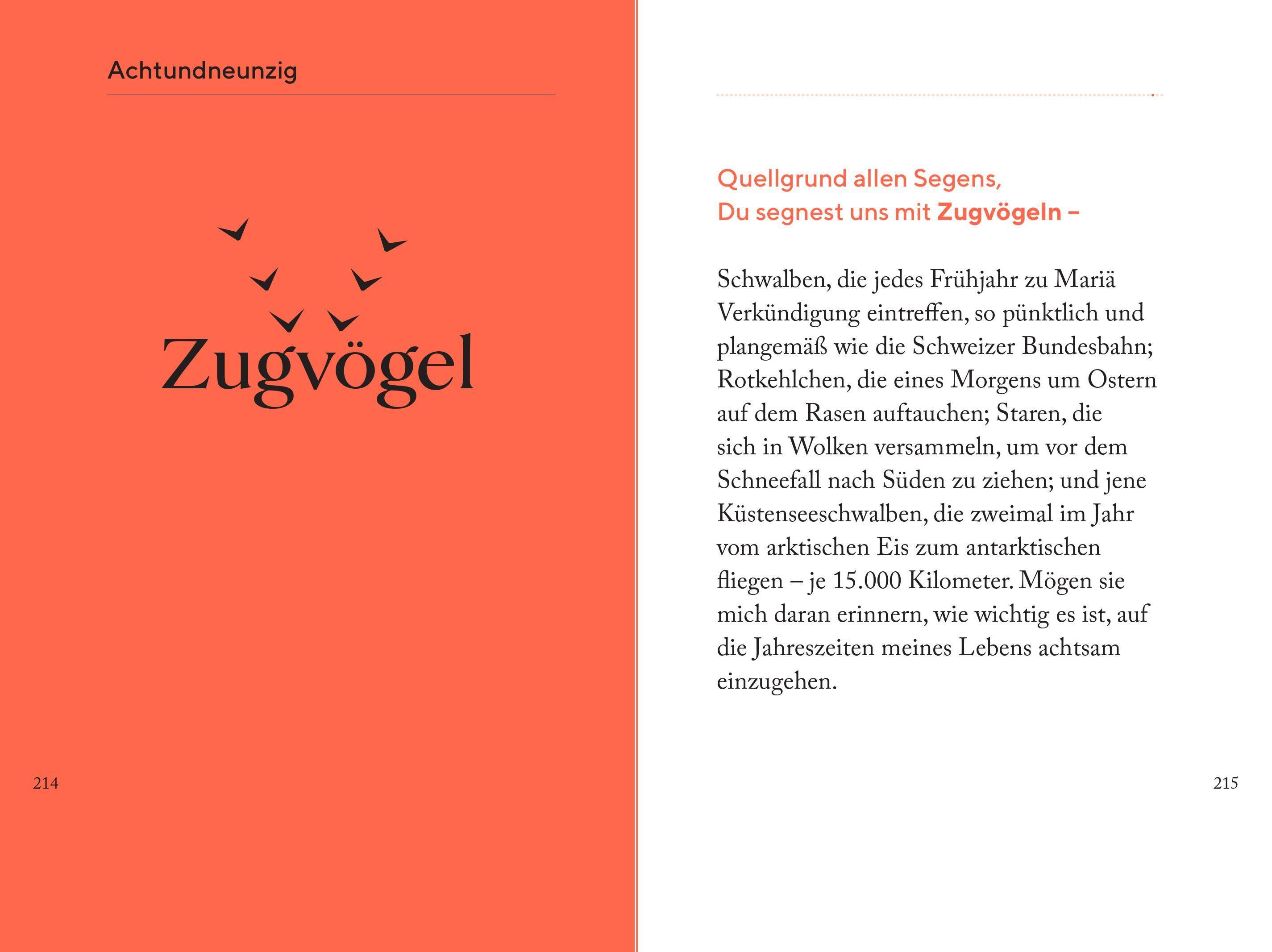 Beispielinhalt (Bild) Die Kraft des Staunens