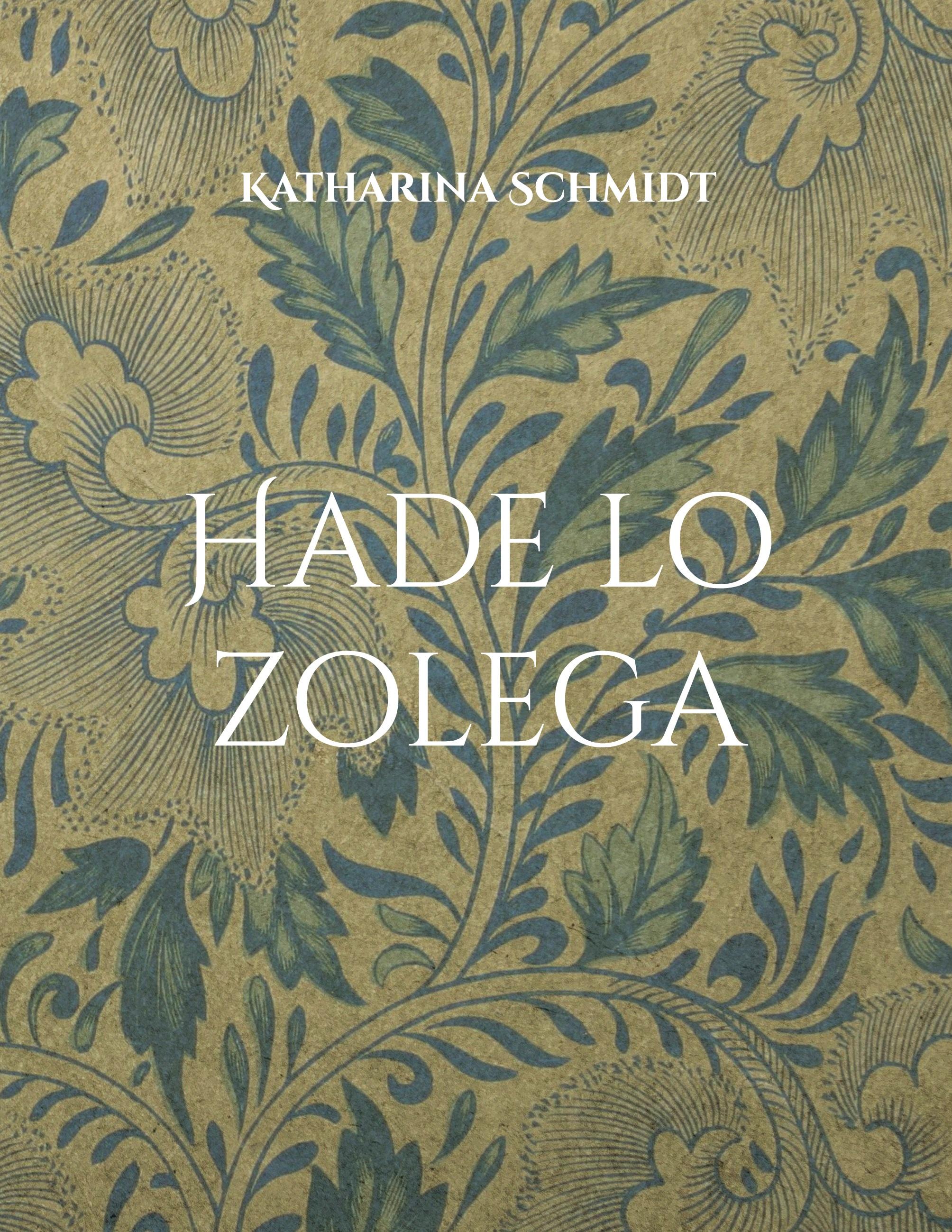 Vorderes Coverbild Hade lo zolega