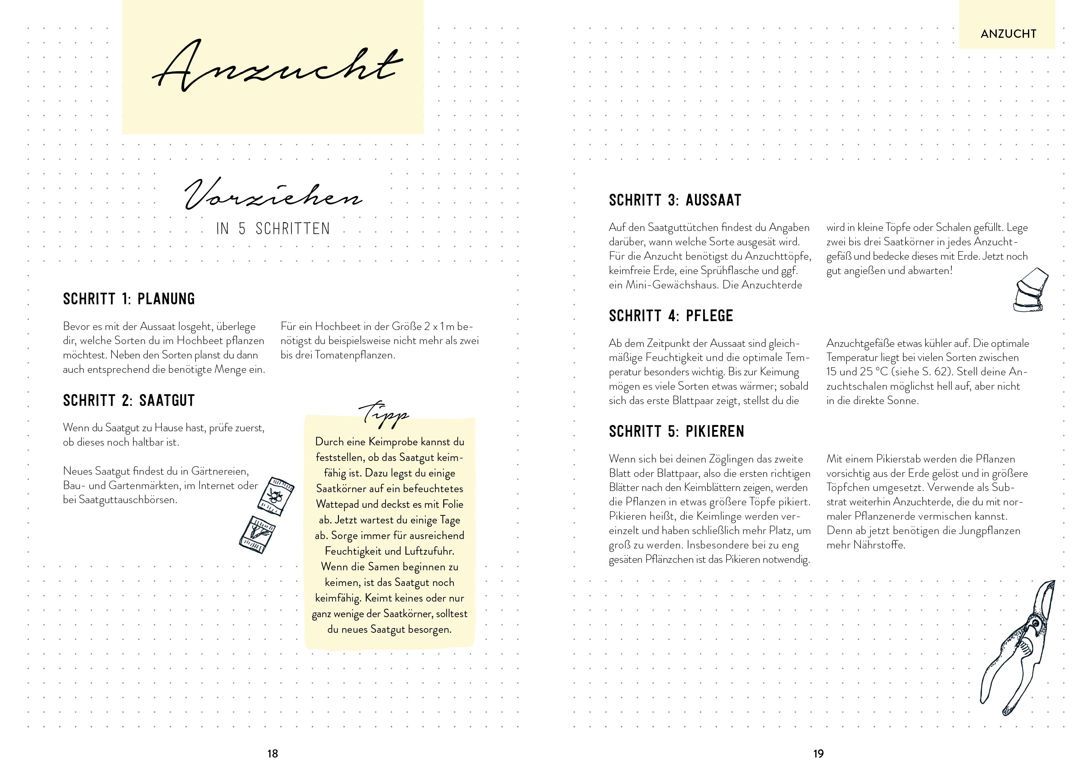 Beispielinhalt (Bild) Hochbeet-Glück - Das illustrierte Gartenbuch