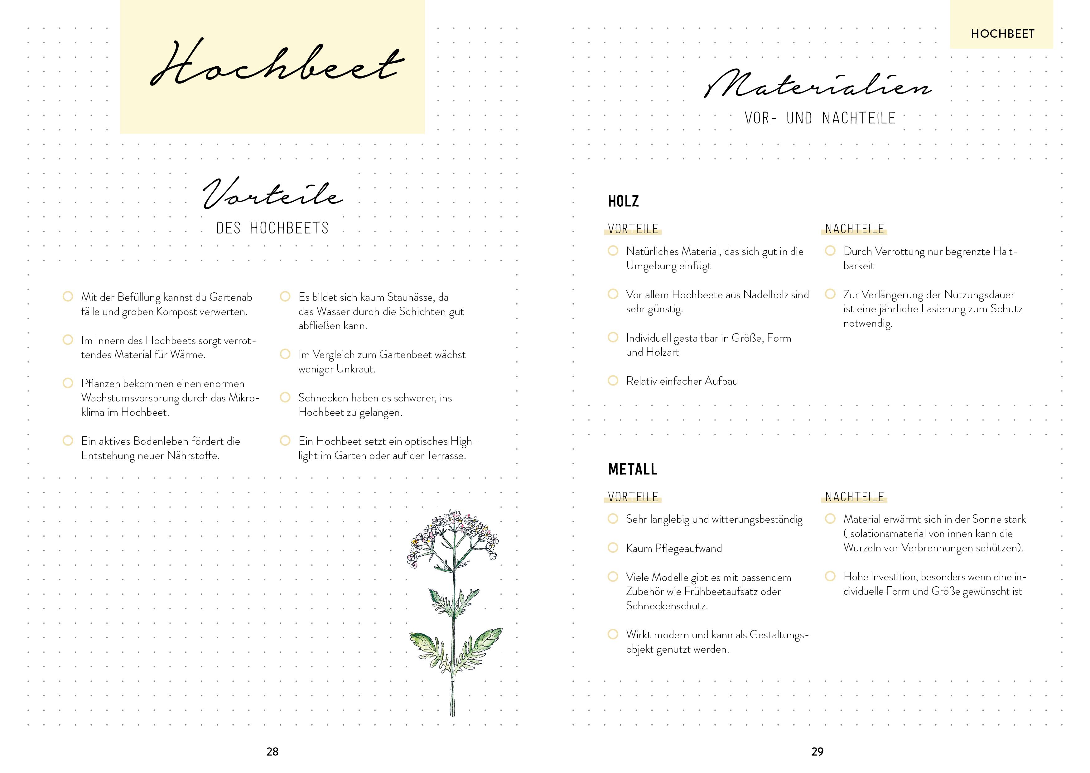 Beispielinhalt (Bild) Hochbeet-Glück - Das illustrierte Gartenbuch