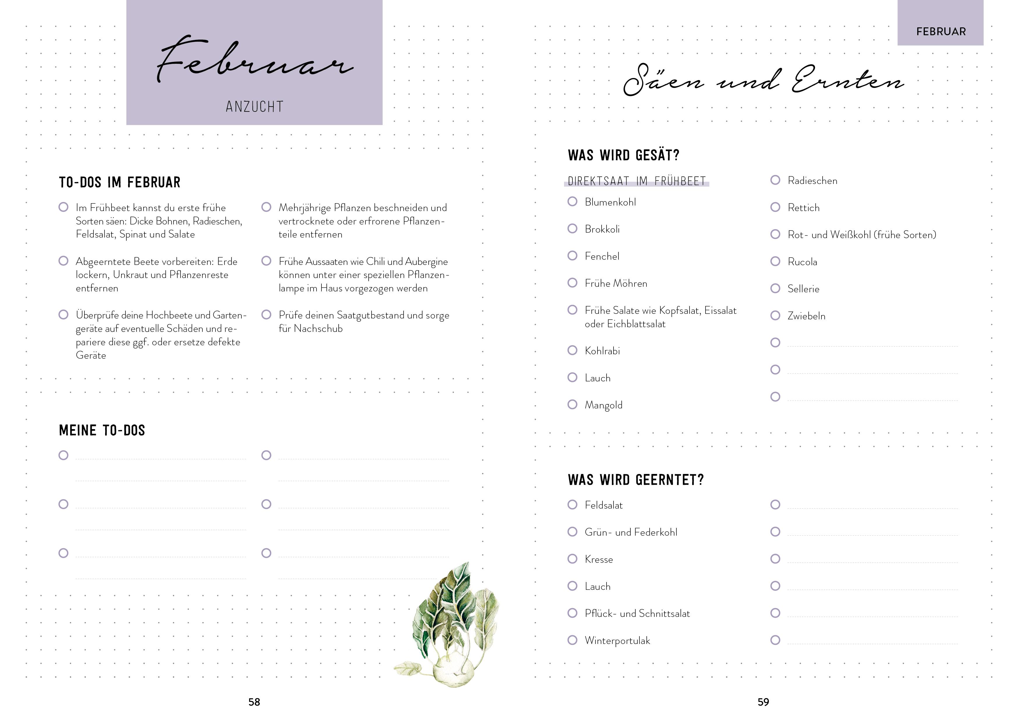 Beispielinhalt (Bild) Hochbeet-Glück - Das illustrierte Gartenbuch