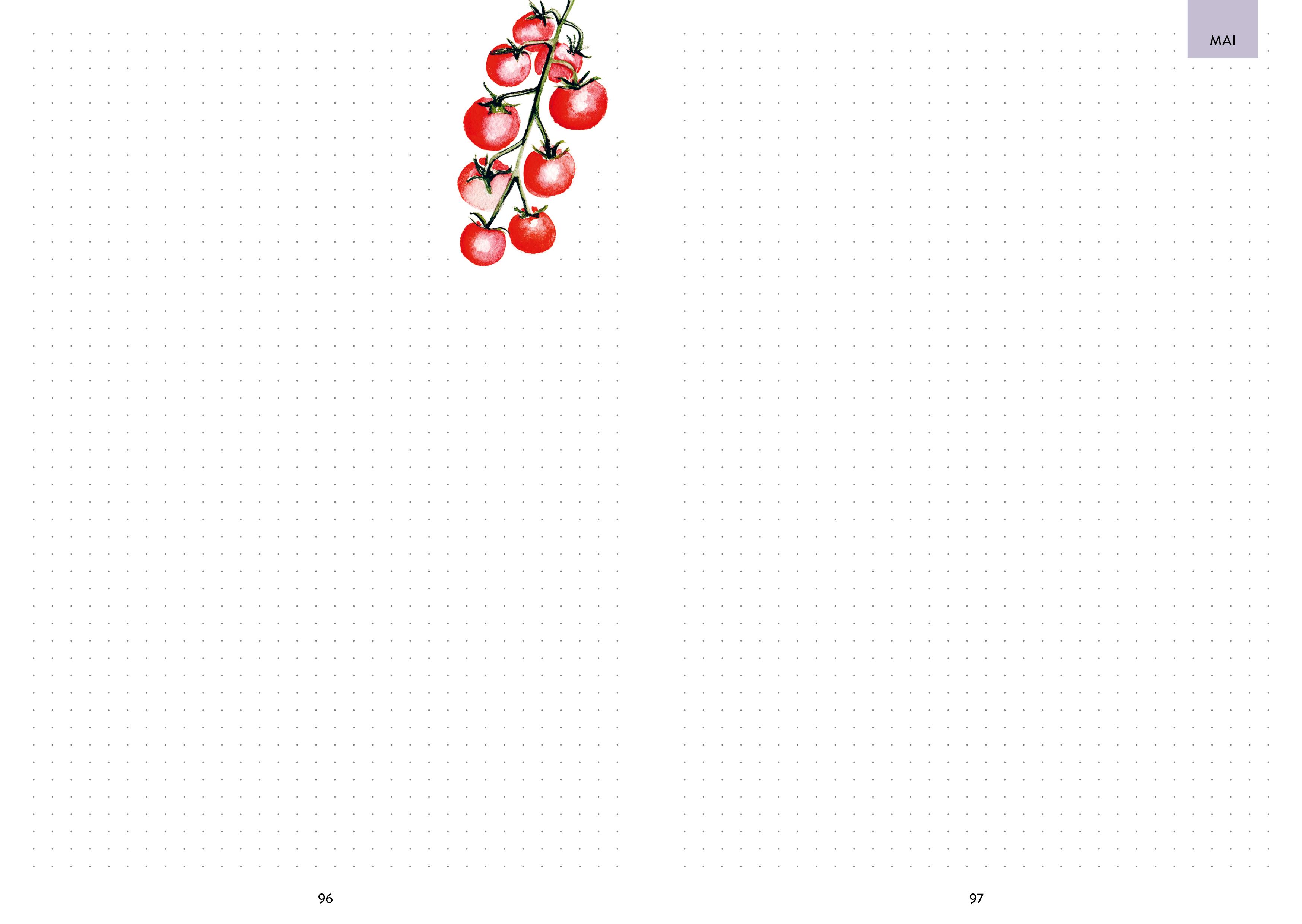 Beispielinhalt (Bild) Hochbeet-Glück - Das illustrierte Gartenbuch