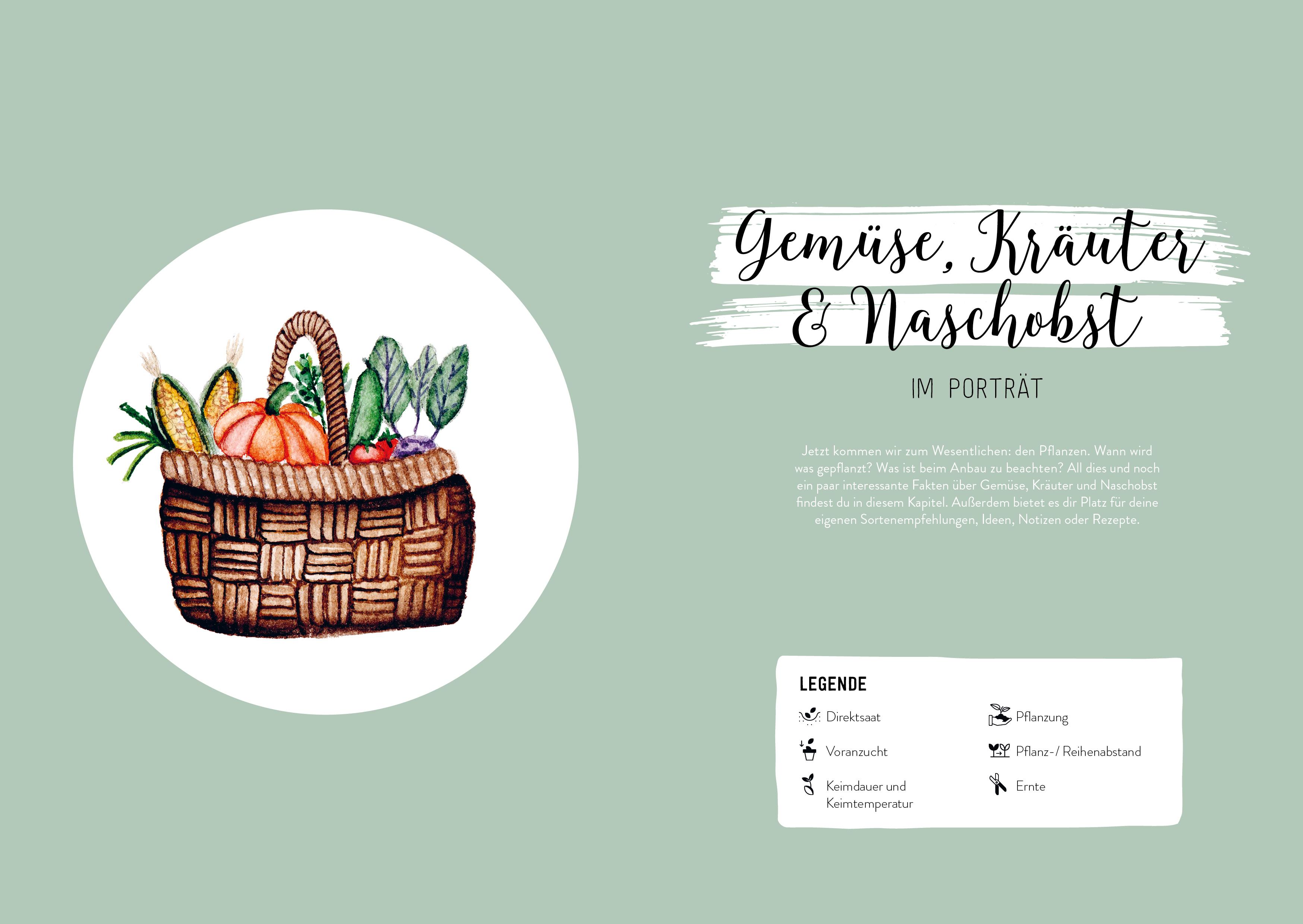 Beispielinhalt (Bild) Hochbeet-Glück - Das illustrierte Gartenbuch