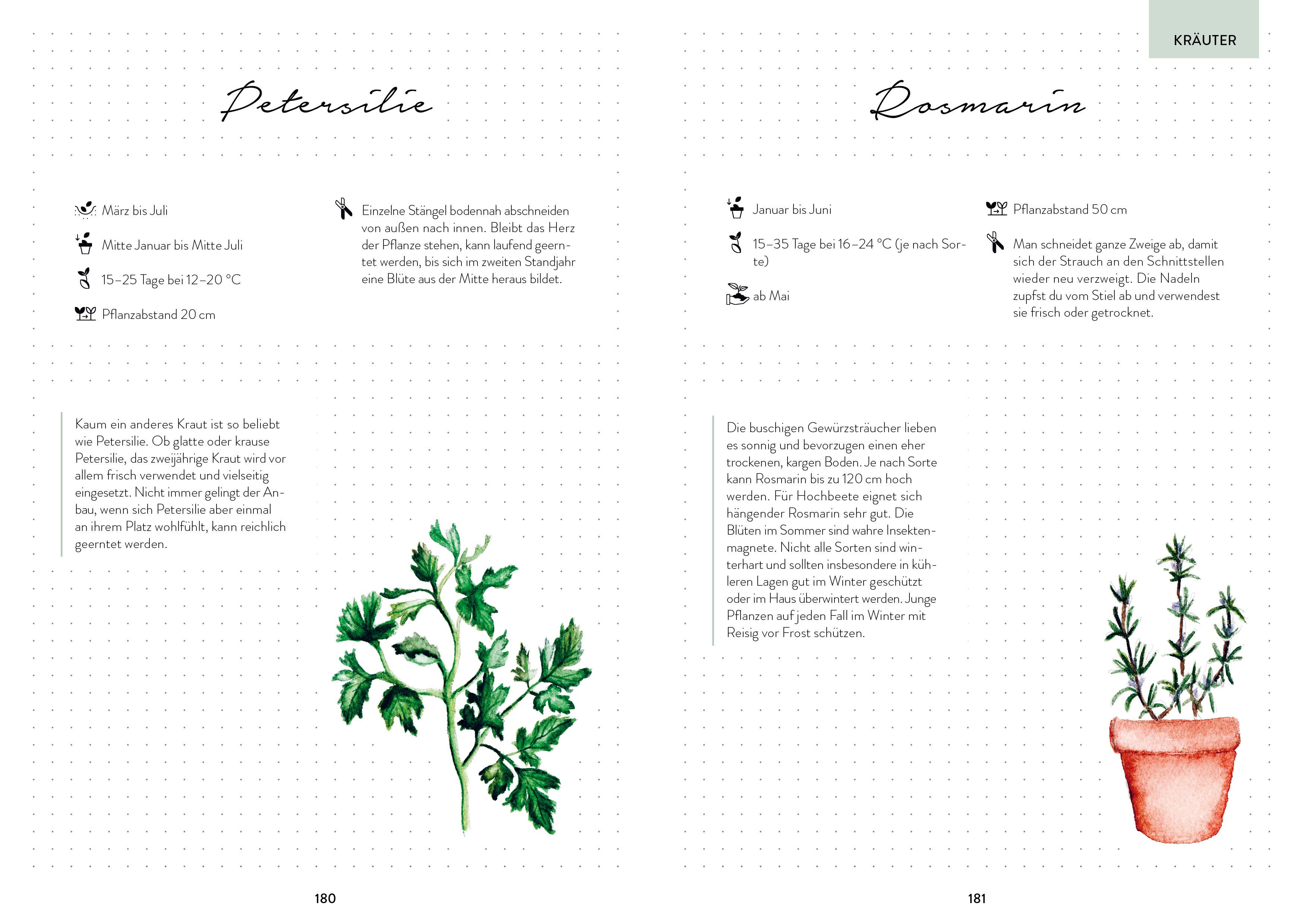 Beispielinhalt (Bild) Hochbeet-Glück - Das illustrierte Gartenbuch