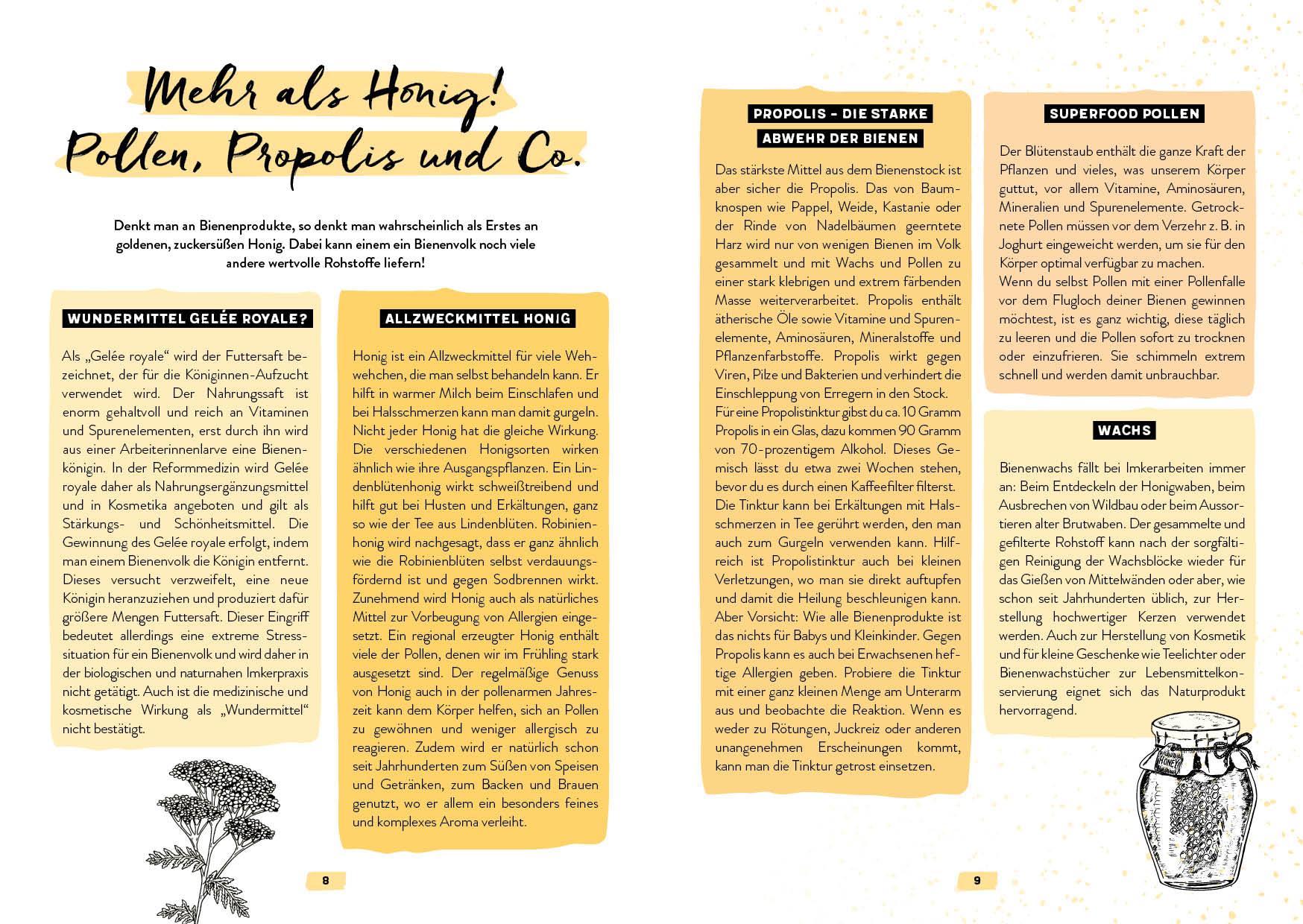 Beispielinhalt (Bild) Mein Bienenjahr