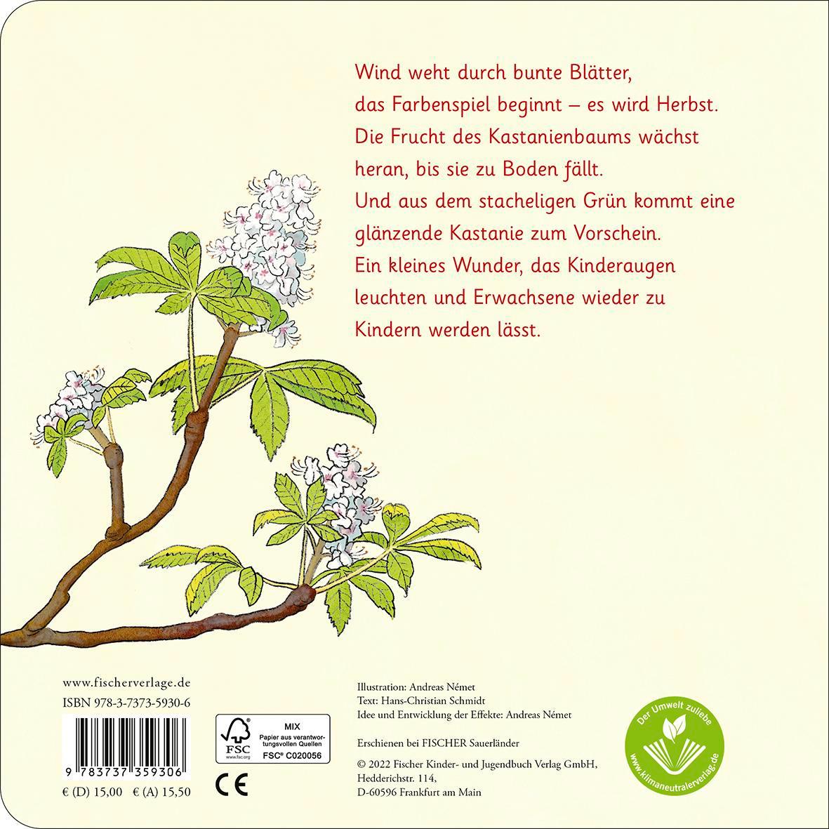 Rückseitencover Das Kastanienwunder
