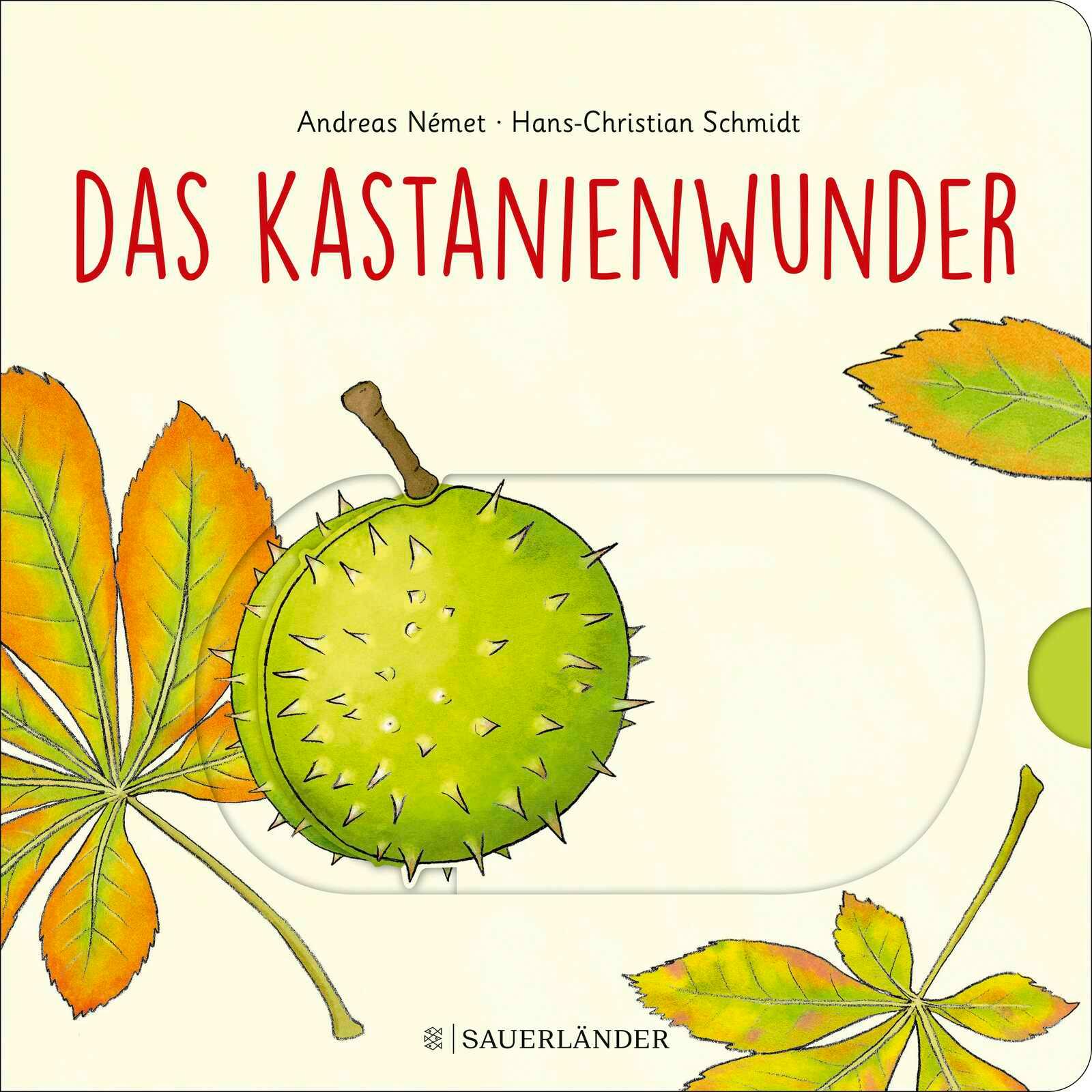 Vorderes Coverbild Das Kastanienwunder