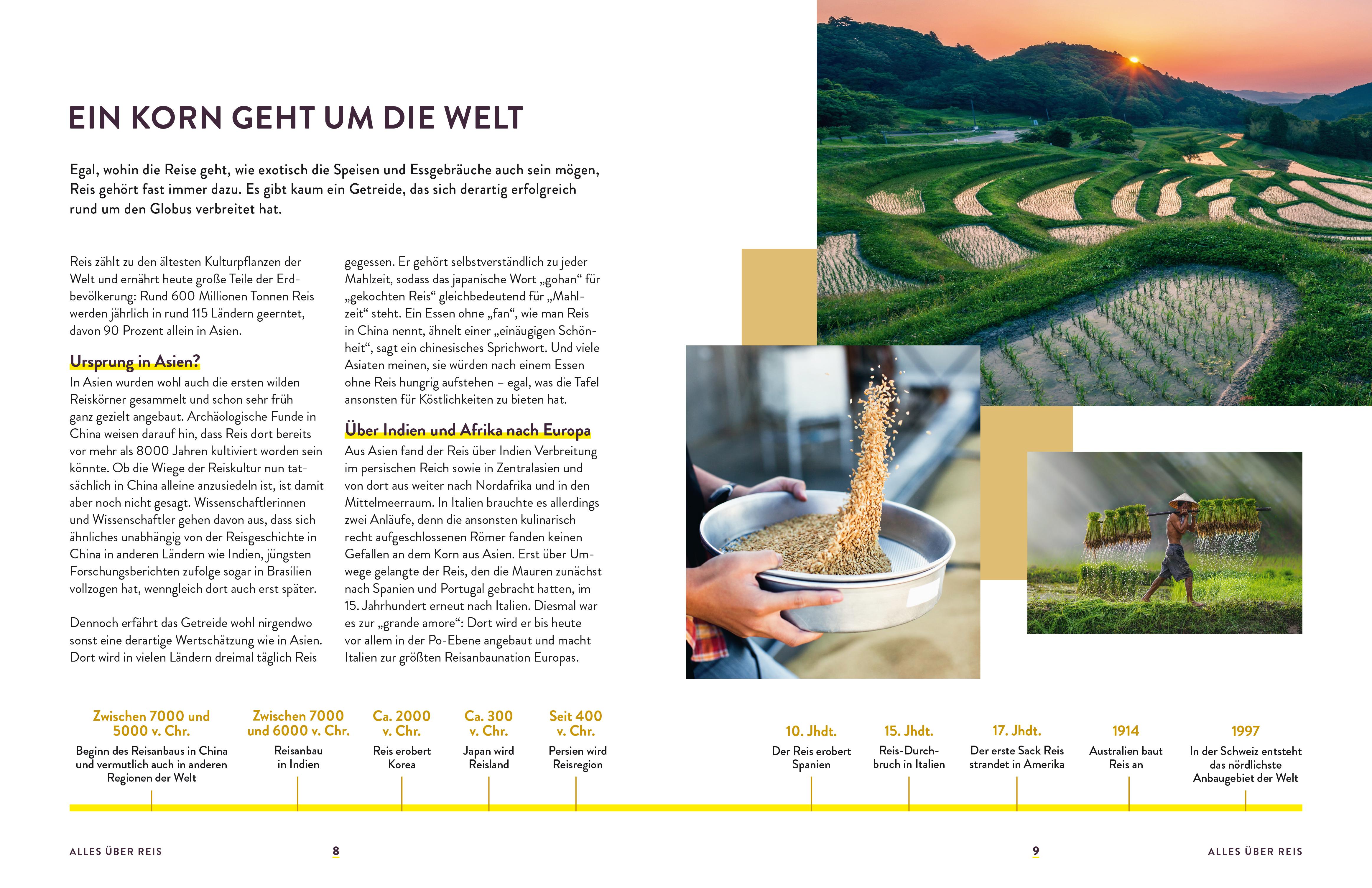 Beispielinhalt (Bild) Reis