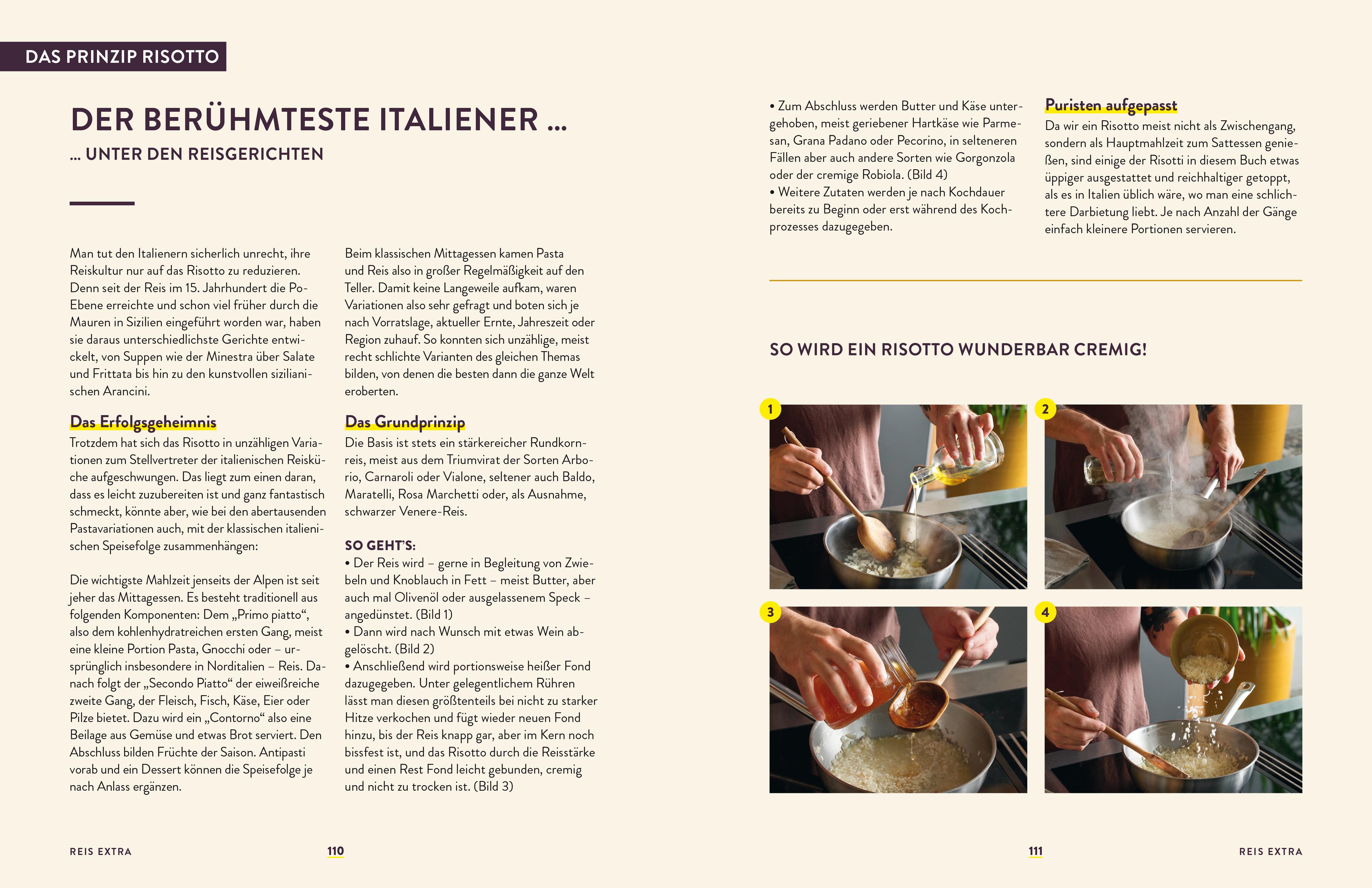 Beispielinhalt (Bild) Reis