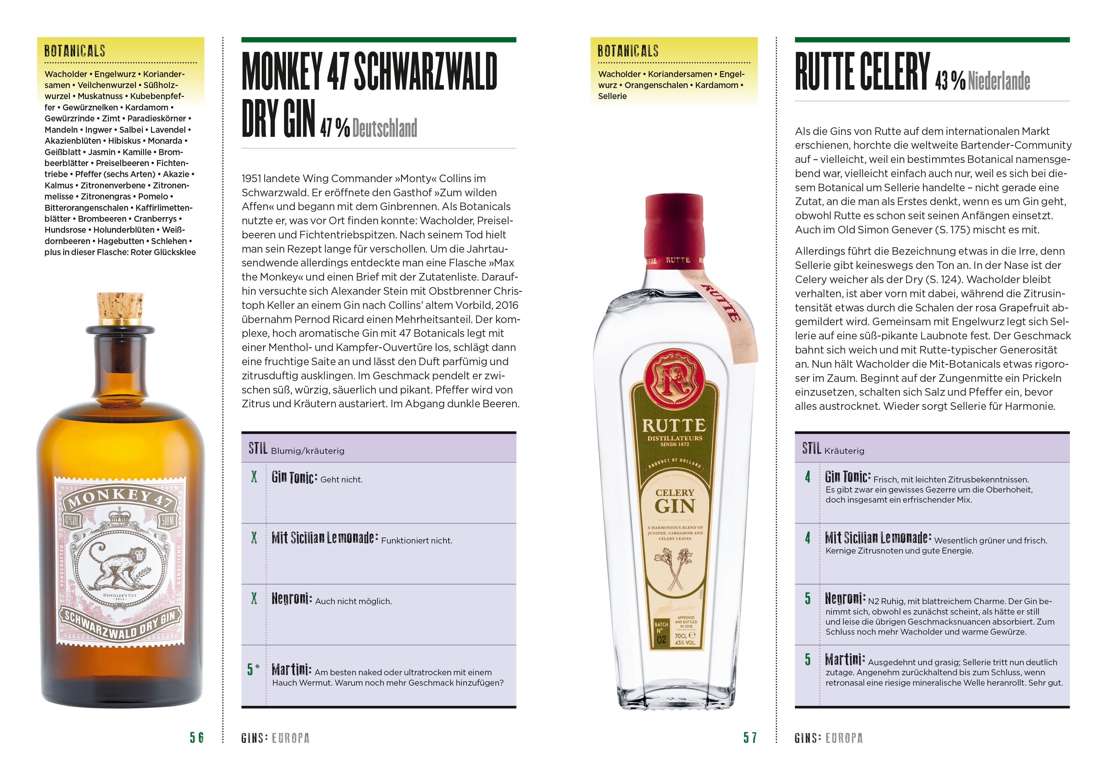 Beispielinhalt (Bild) How to Drink Gin
