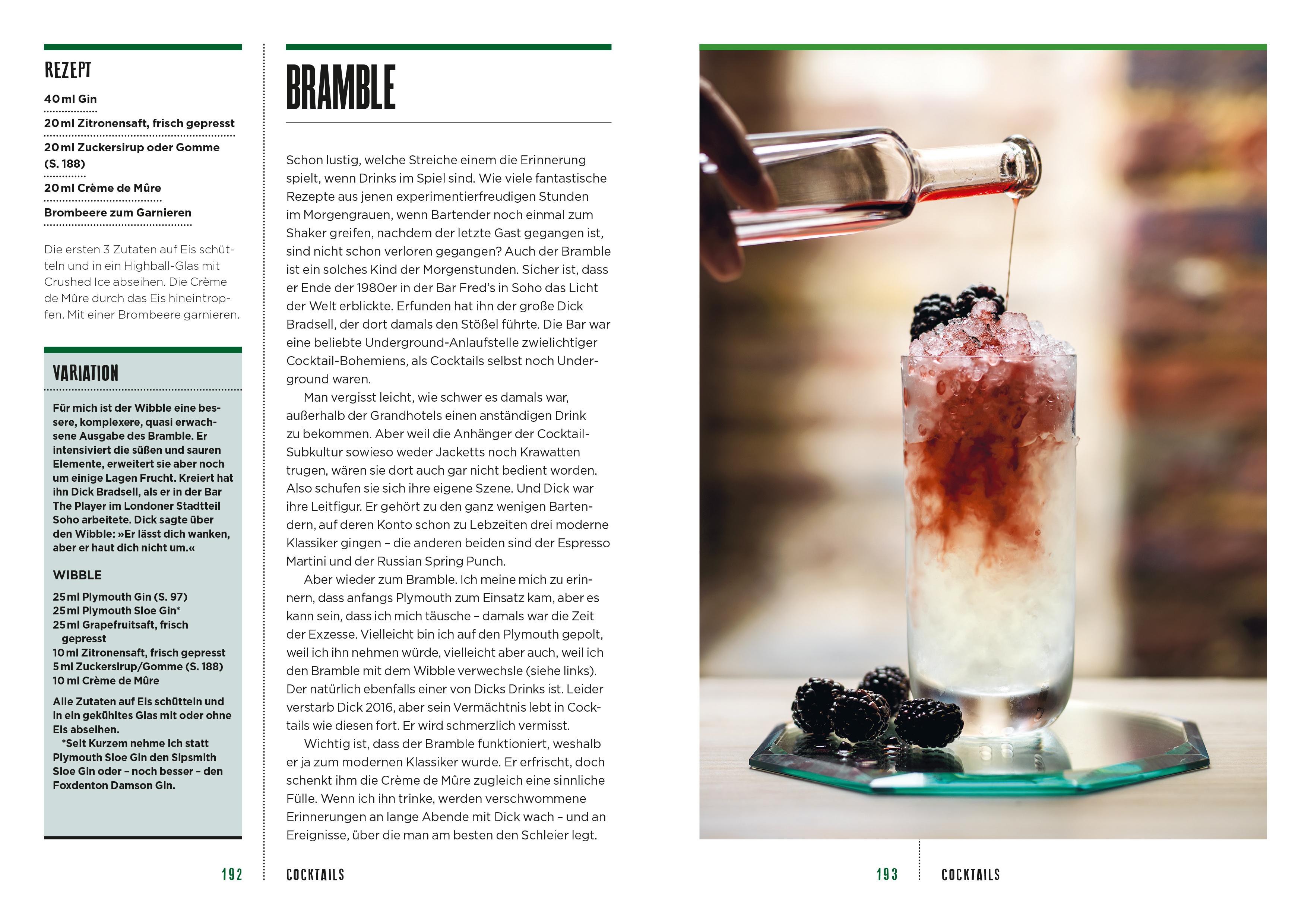 Beispielinhalt (Bild) How to Drink Gin