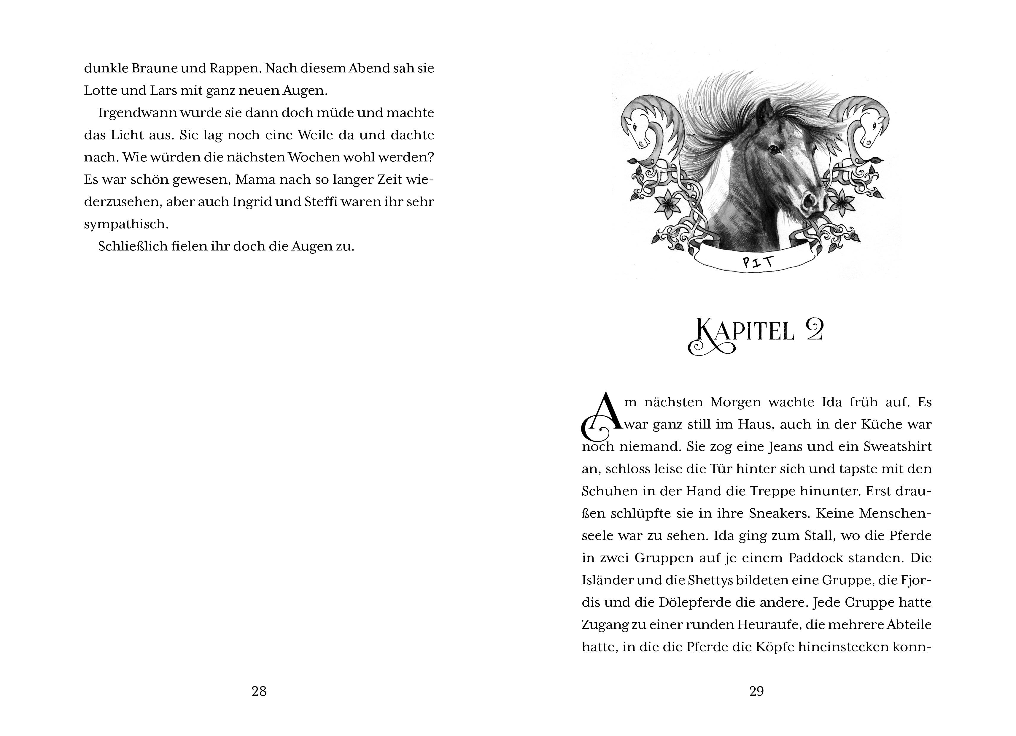 Beispielinhalt (Bild) Mittsommerwind- Idas Entscheidung