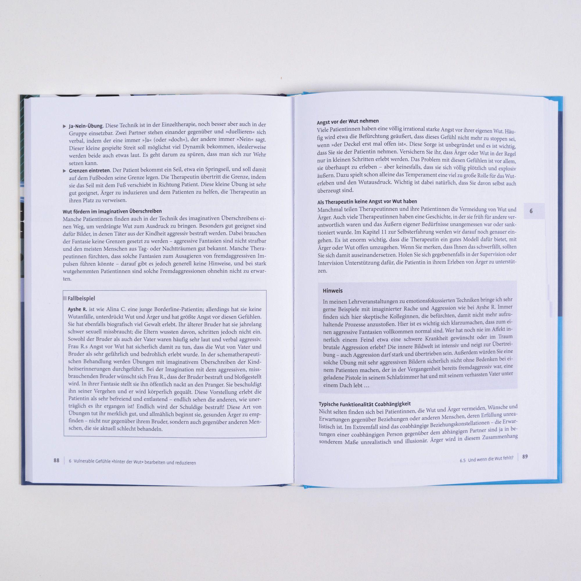 Beispielinhalt (Bild) Wut