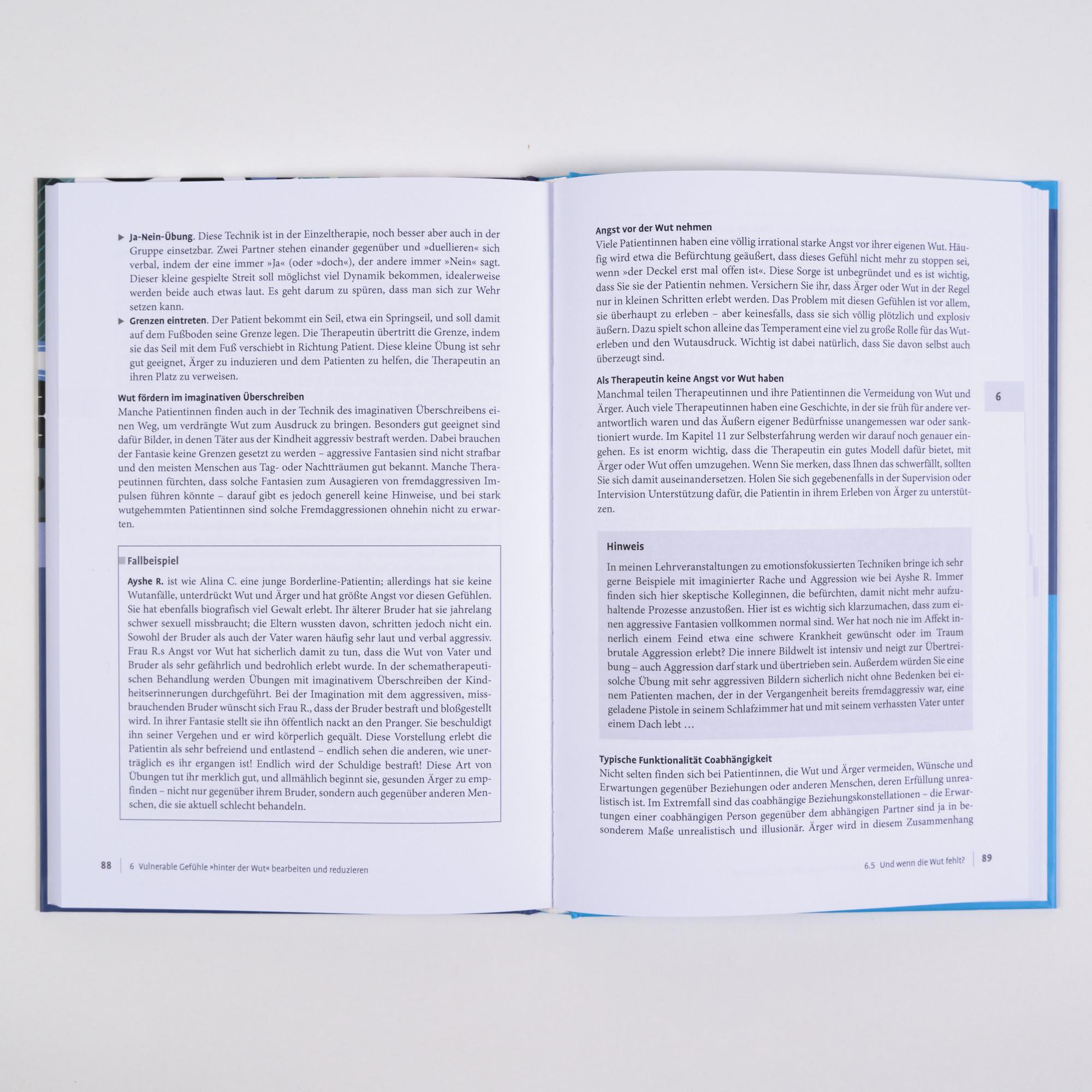 Beispielinhalt (Bild) Wut