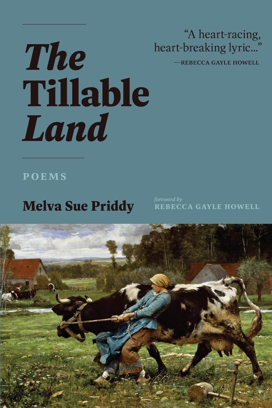 Vorderes Coverbild The Tillable Land