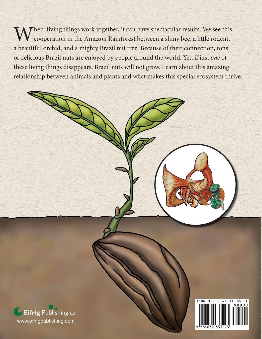 Rückseitencover The Rodent, the Bee,  and the Brazil Nut Tree