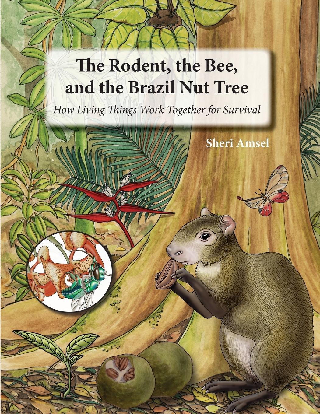 Vorderes Coverbild The Rodent, the Bee,  and the Brazil Nut Tree