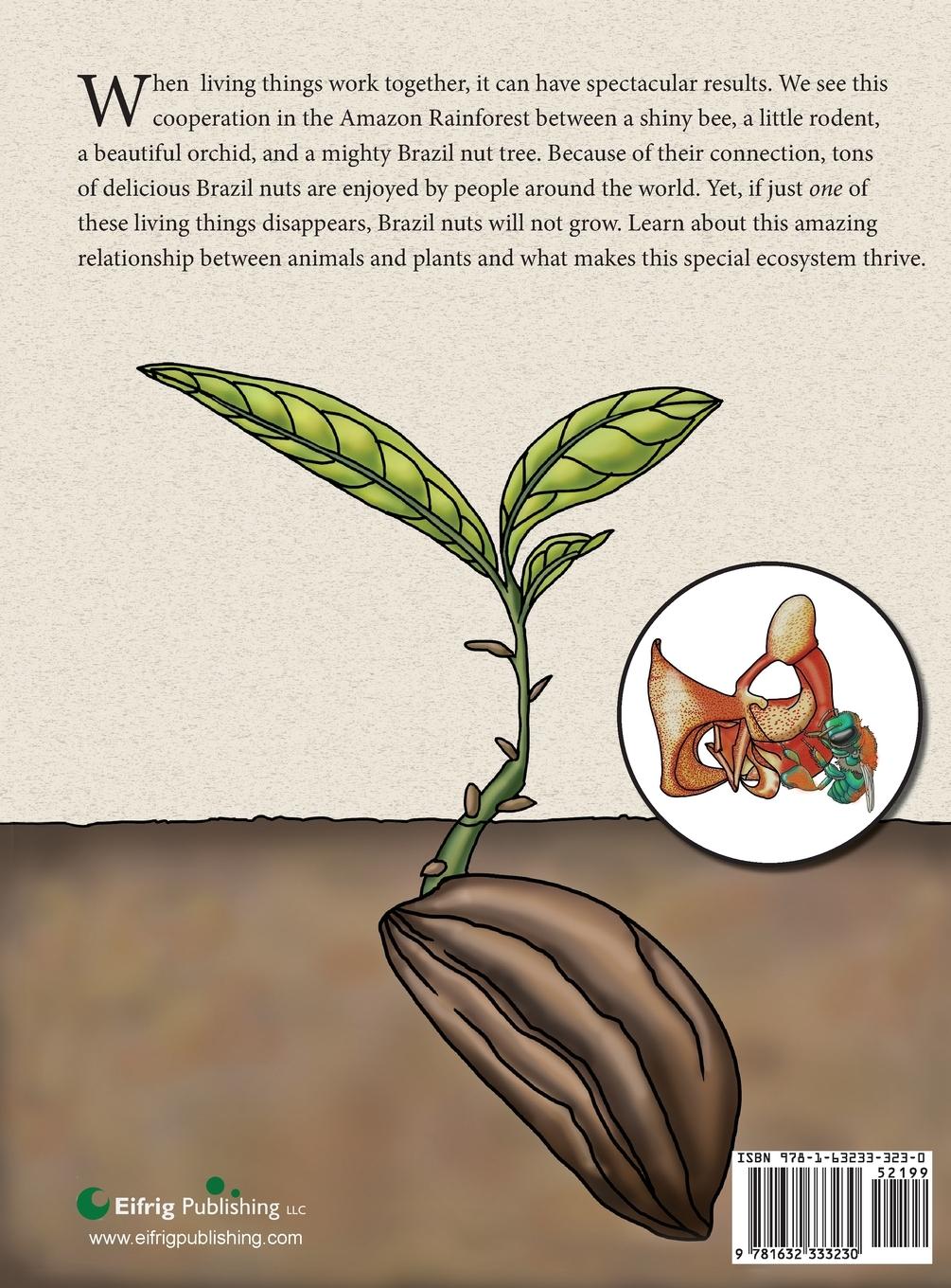 Rückseitencover The Rodent, the Bee,  and the Brazil Nut Tree