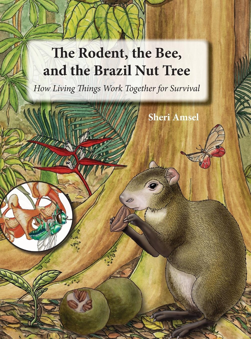 Vorderes Coverbild The Rodent, the Bee,  and the Brazil Nut Tree