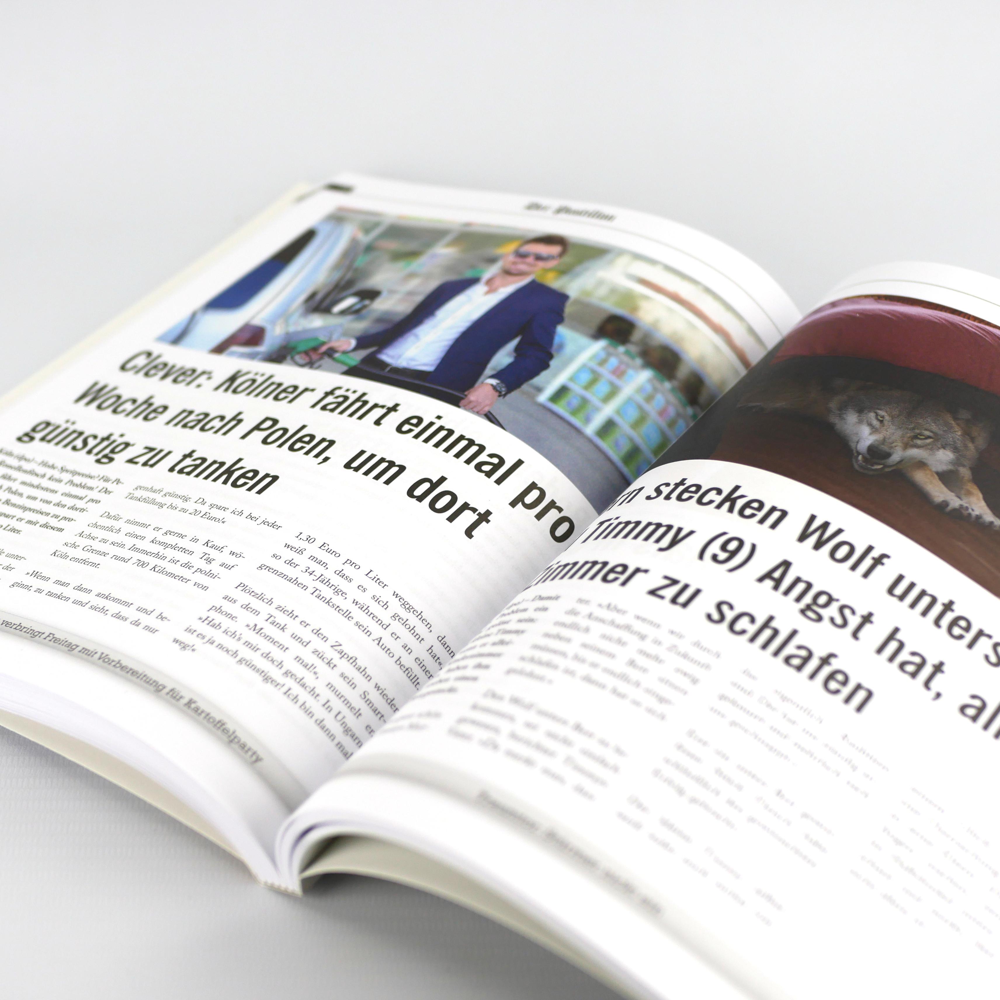 Beispielinhalt (Bild) Der Postillon