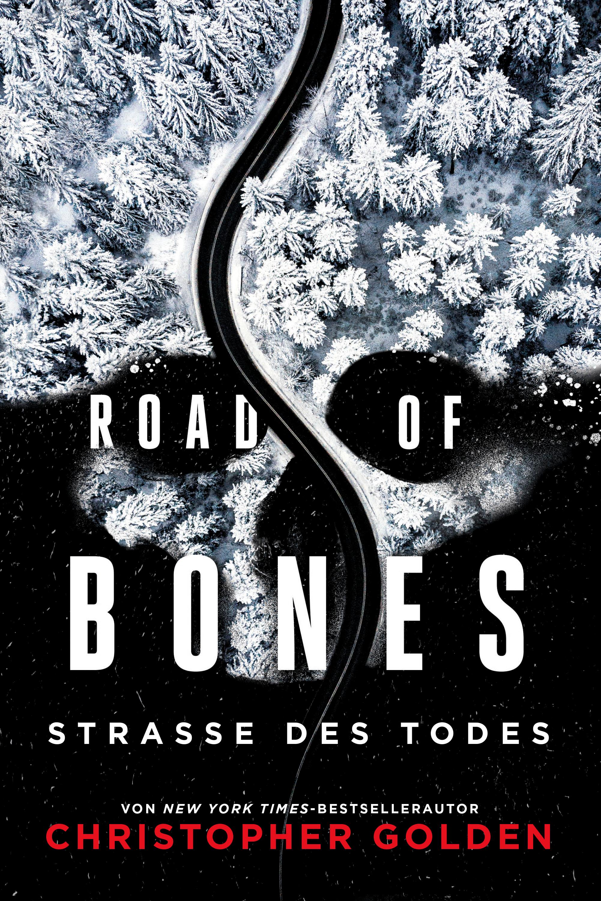 Vorderes Coverbild Road of Bones - Straße des Todes