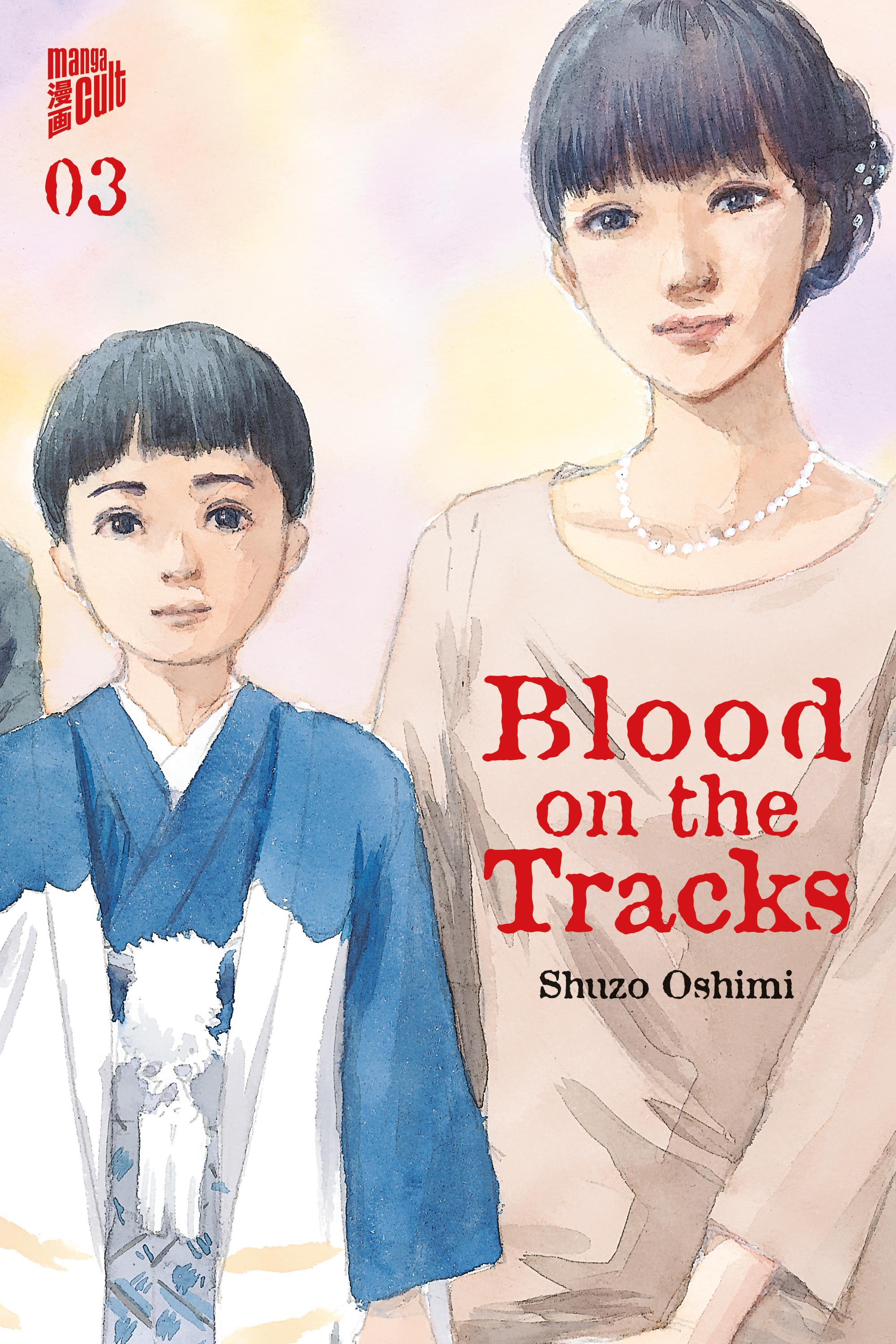 Vorderes Coverbild Blood on the Tracks 3
