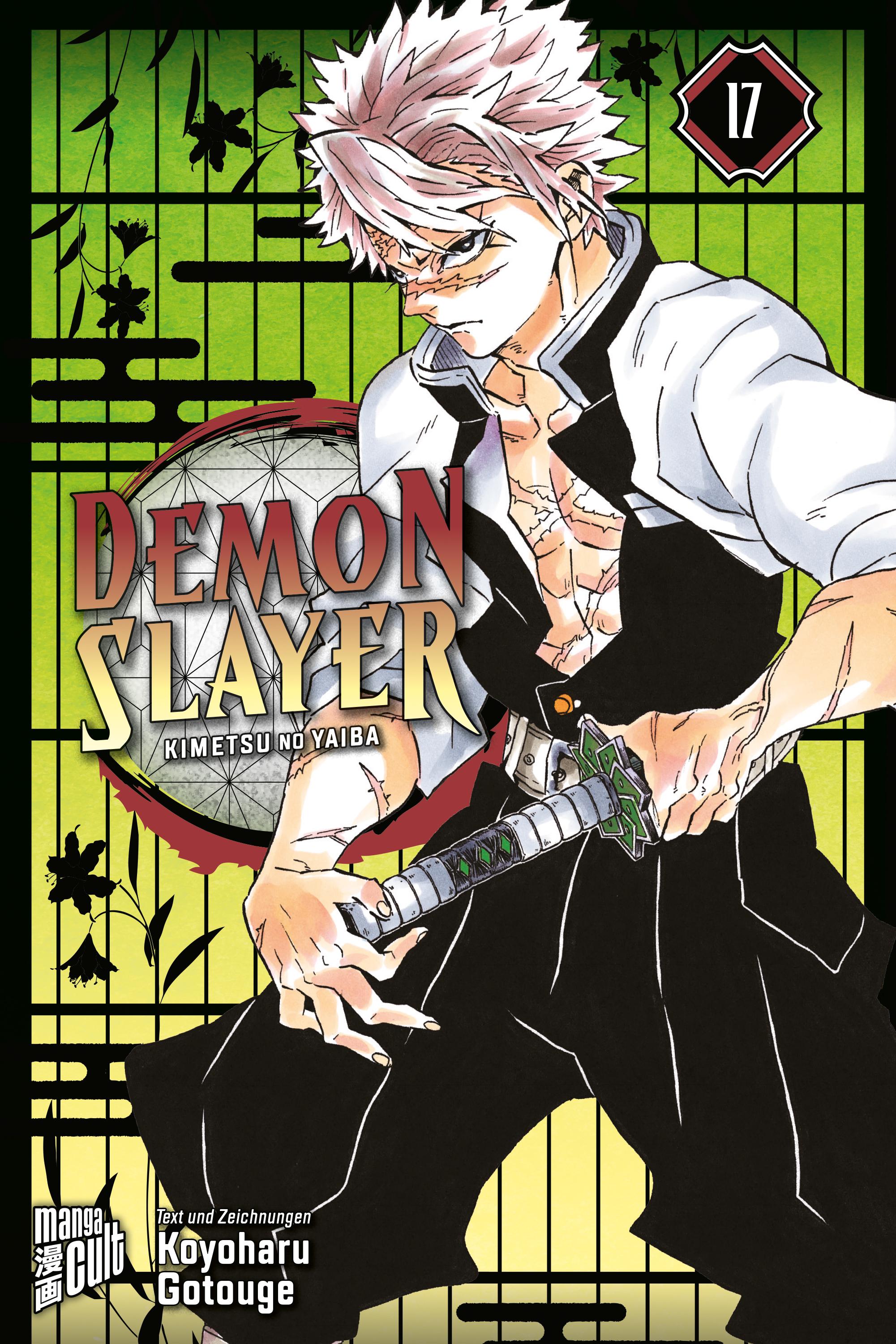 Vorderes Coverbild Demon Slayer - Kimetsu no Yaiba 17