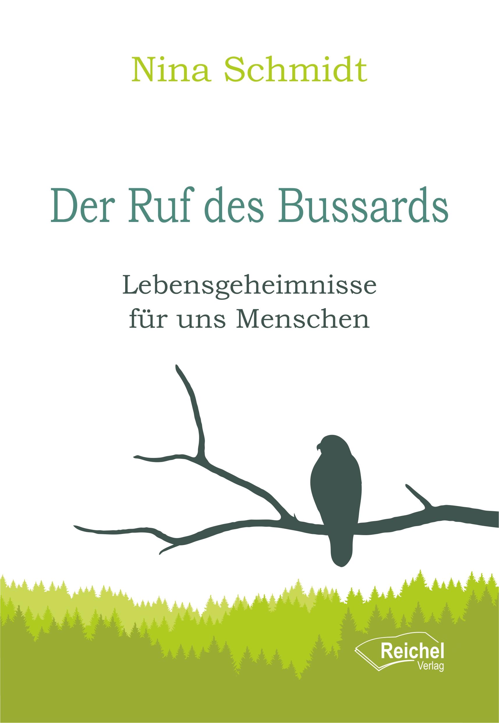 Vorderes Coverbild Der Ruf des Bussards