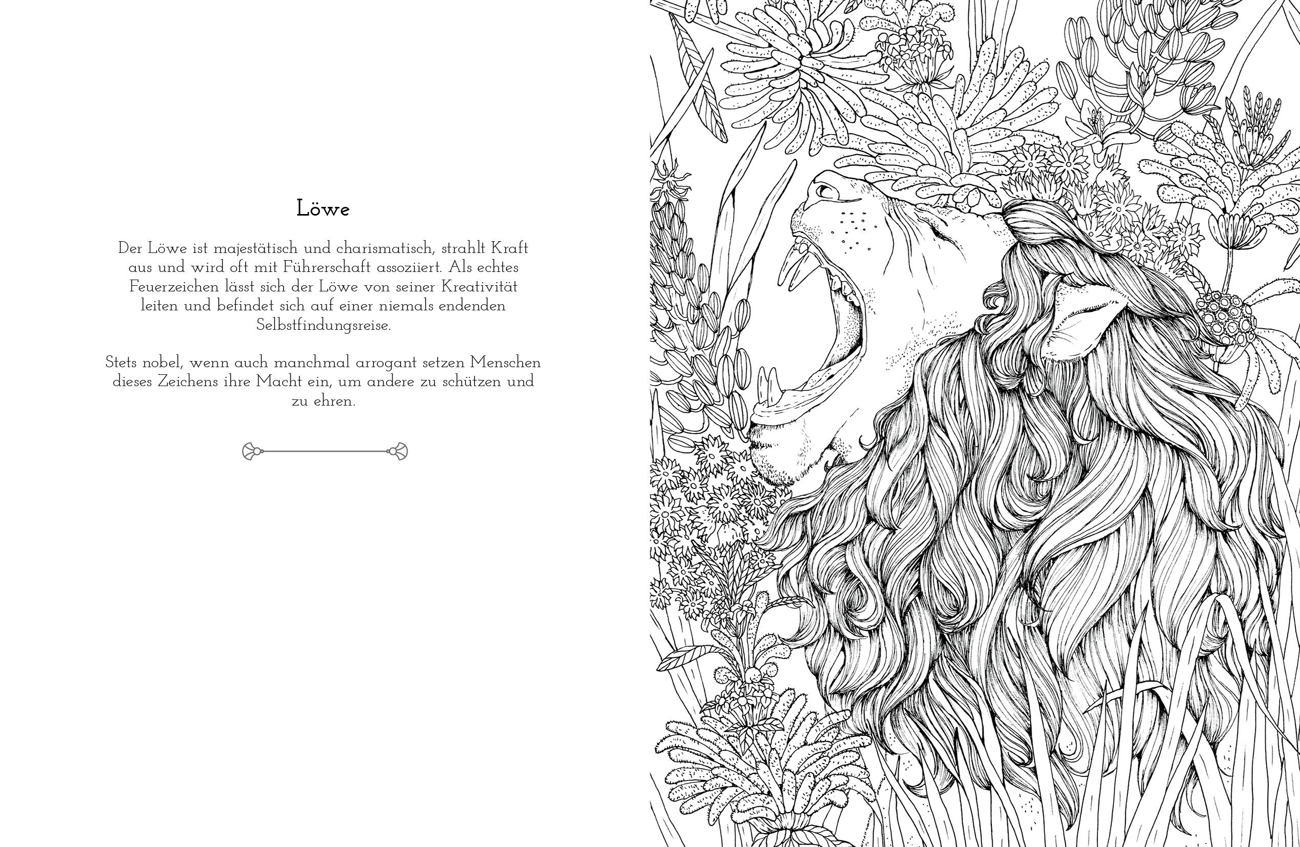 Beispielinhalt (Bild) Astrologie-Malbuch