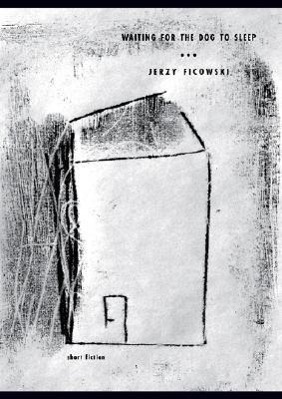 Vorderes Coverbild Waiting for the Dog to Sleep