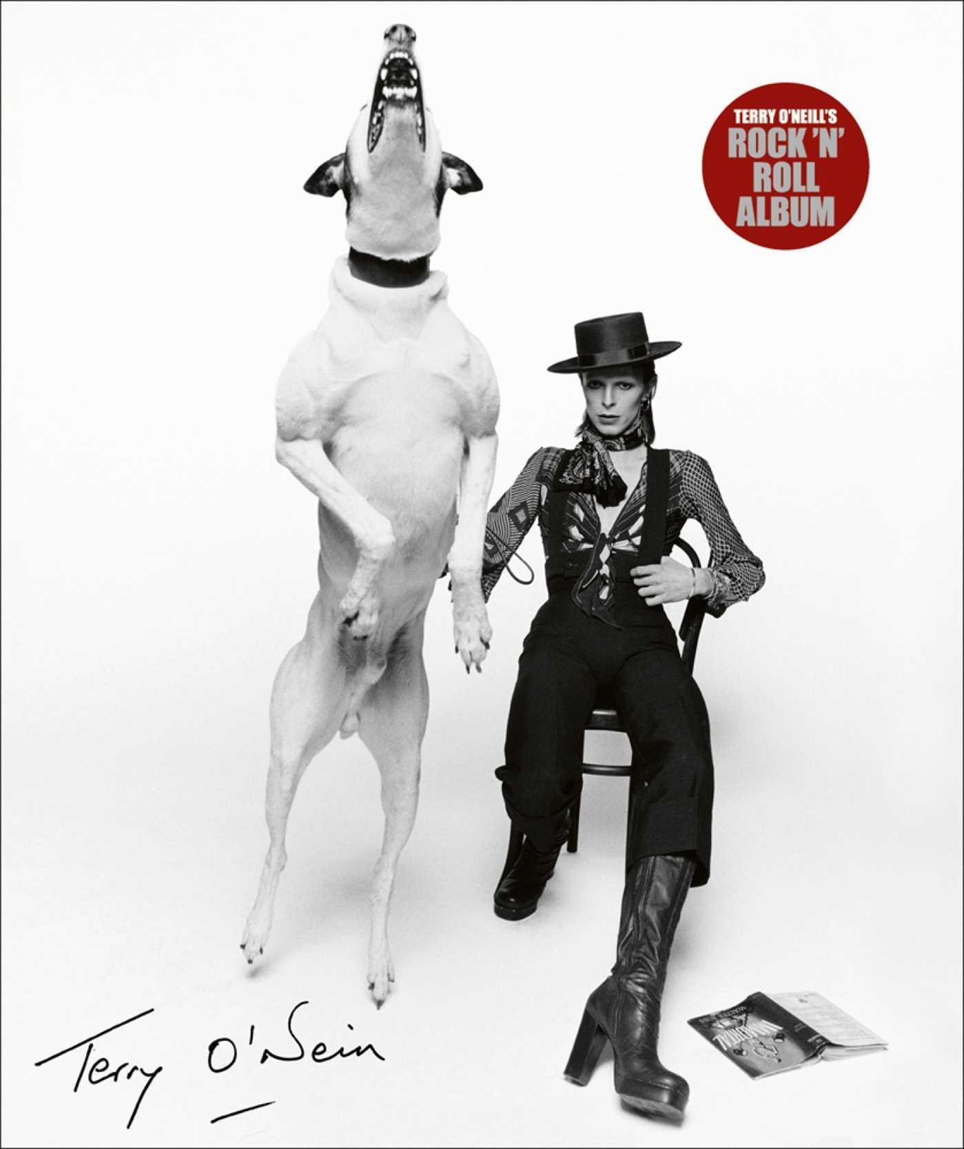 Vorderes Coverbild Terry O'Neill's Rock 'n' Roll Album