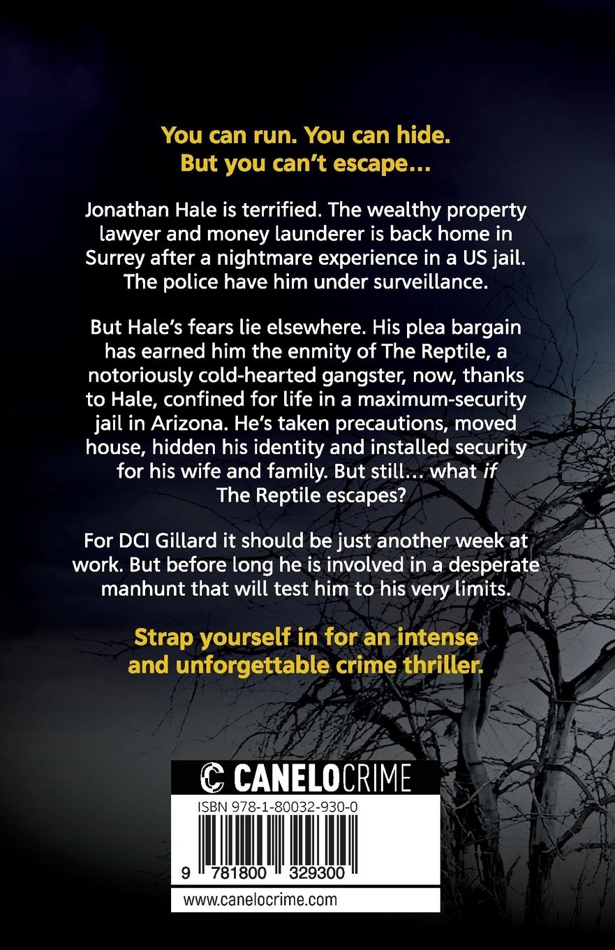 Rückseitencover The Body in the Stairwell